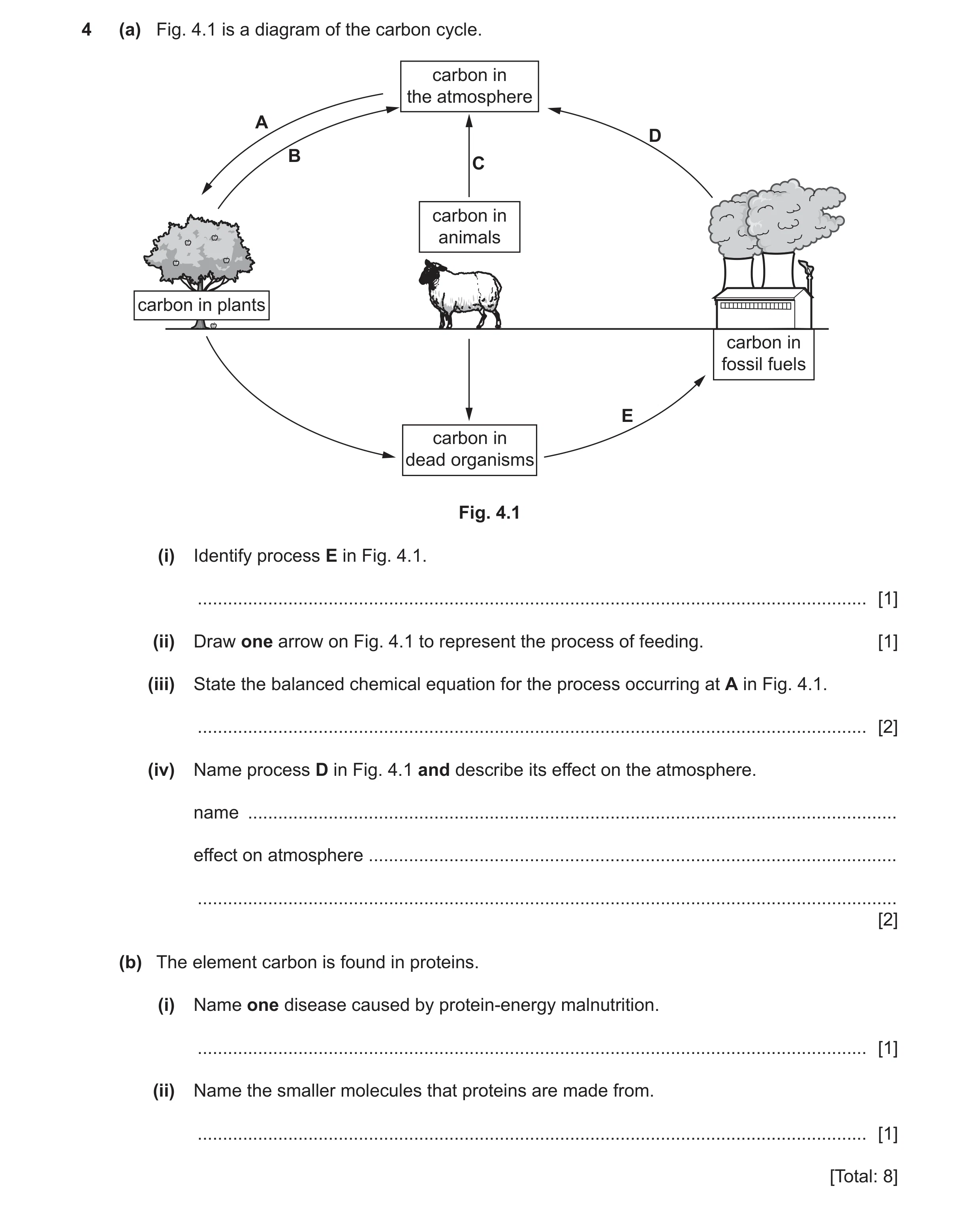 Question 7: (a) Fig. 4.1 is a diagram of the carbon cycle. carbon in the atmosphere A D B C carbon in animals carbon in plants carbon in fossil fuels E…