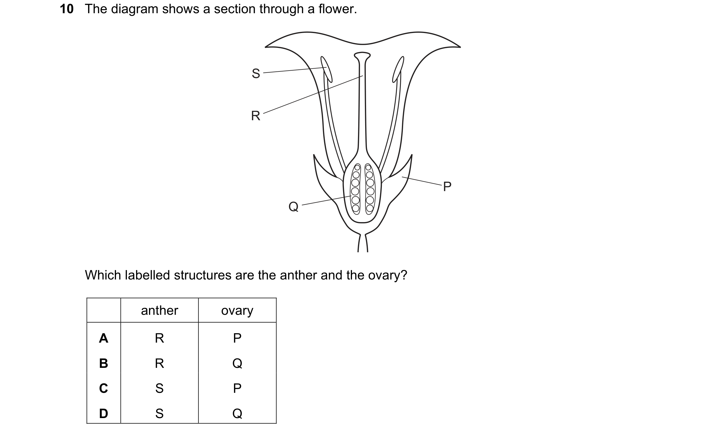 Question 42: The diagram shows a section through a flower. S R P Q Which labelled structures are the anther and the ovary? anther ovary A R P B R Q C S …