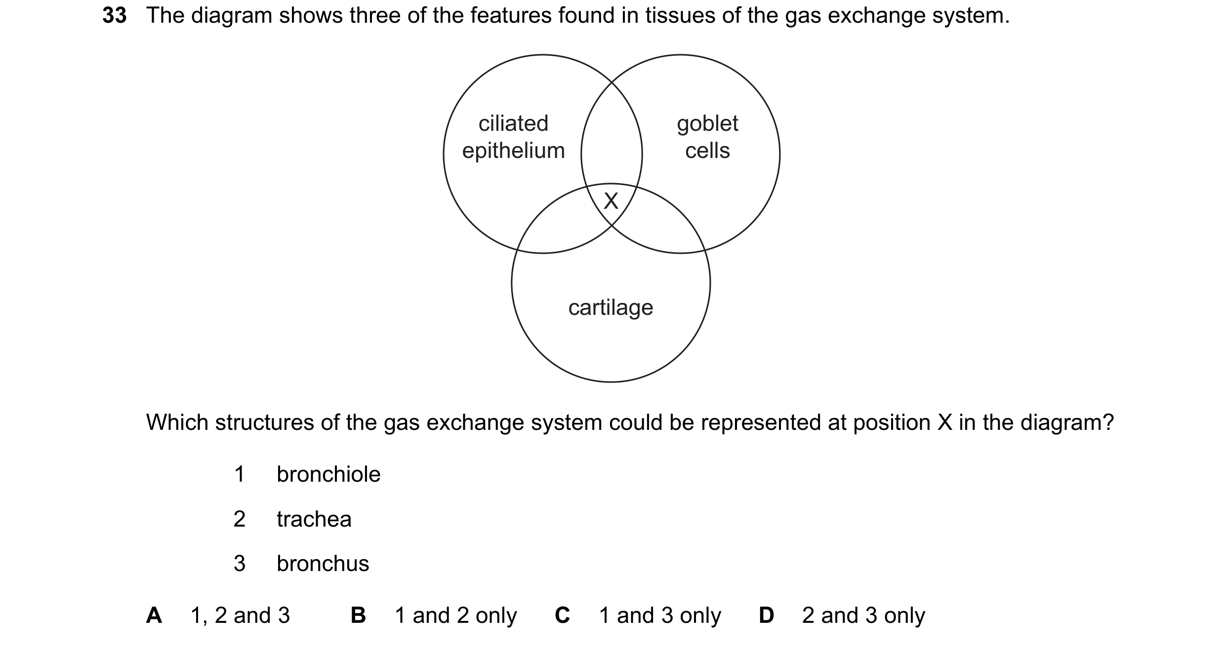 Question 157: The diagram shows three of the features found in tissues of the gas exchange system. ciliated goblet epithelium cells X cartilage Which str…