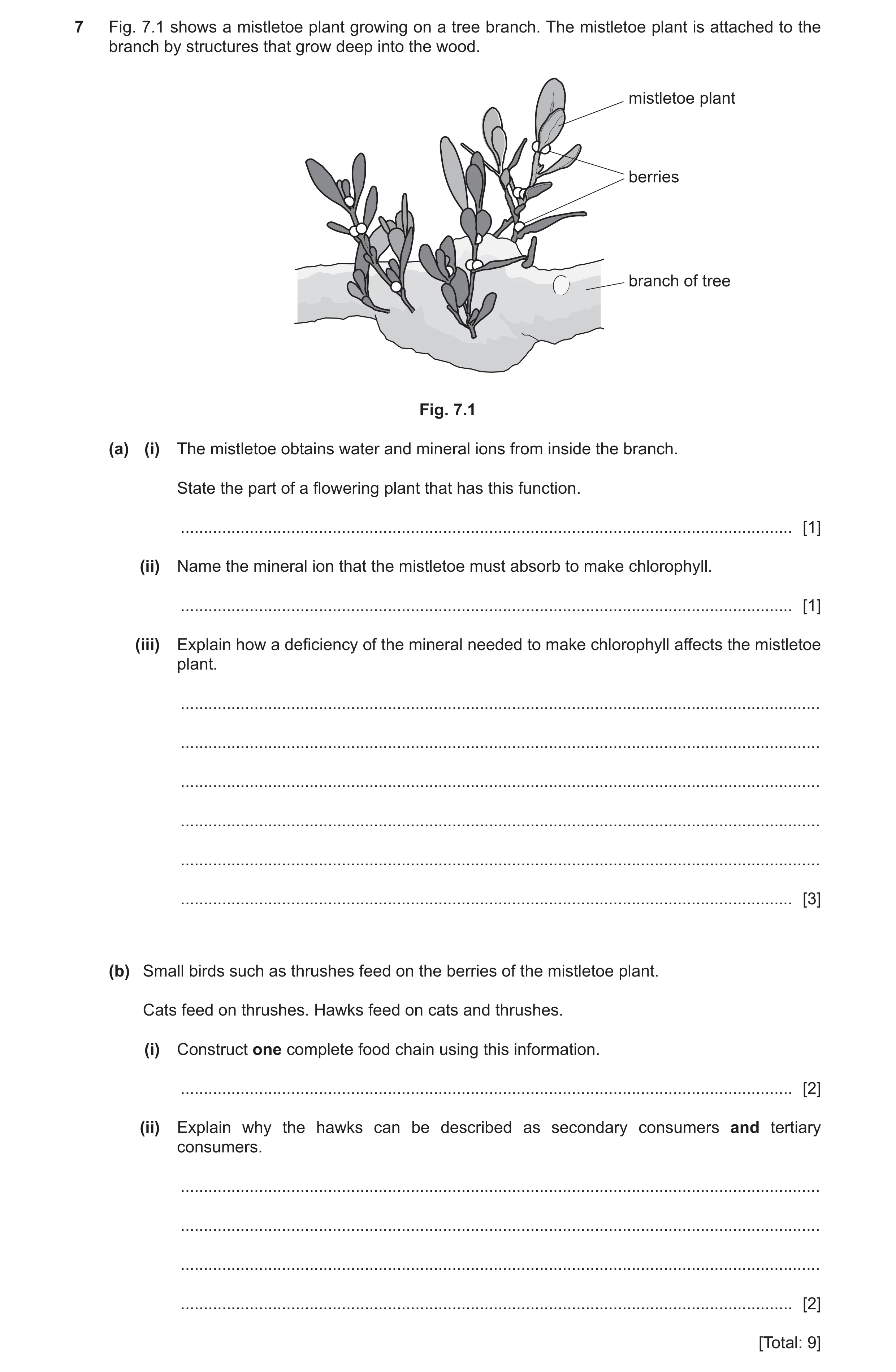 Question 8: Fig. 7.1 shows a mistletoe plant growing on a tree branch. The mistletoe plant is attached to the branch by structures that grow deep into …