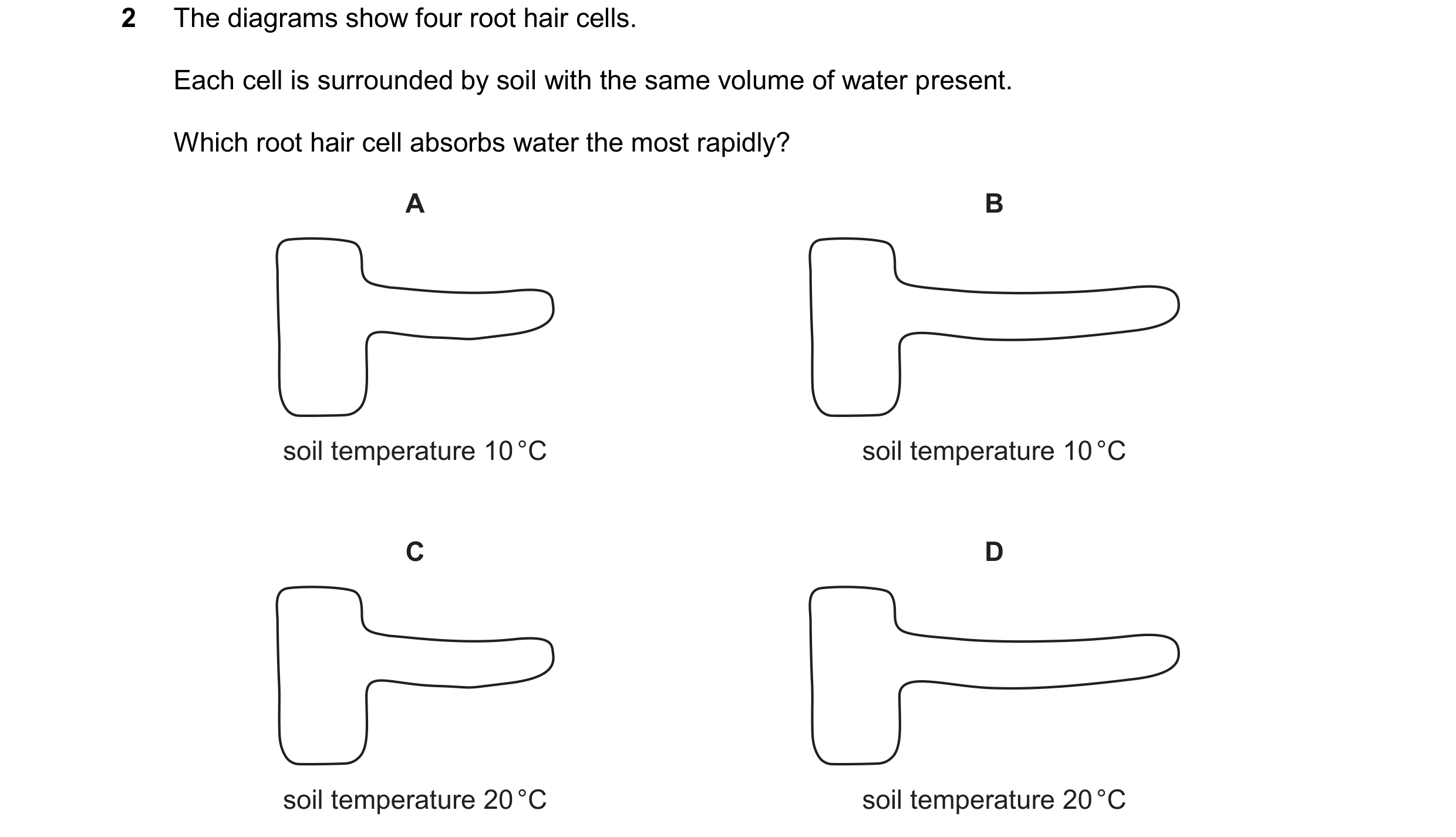 Question 21: The diagrams show four root hair cells. Each cell is surrounded by soil with the same volume of water present. Which root hair cell absorbs…