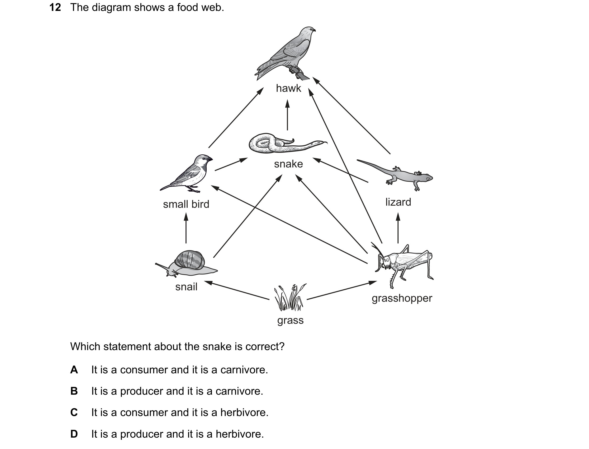 Question 41: The diagram shows a food web. hawk snake small bird lizard snail grasshopper grass Which statement about the snake is correct? A It is a co…