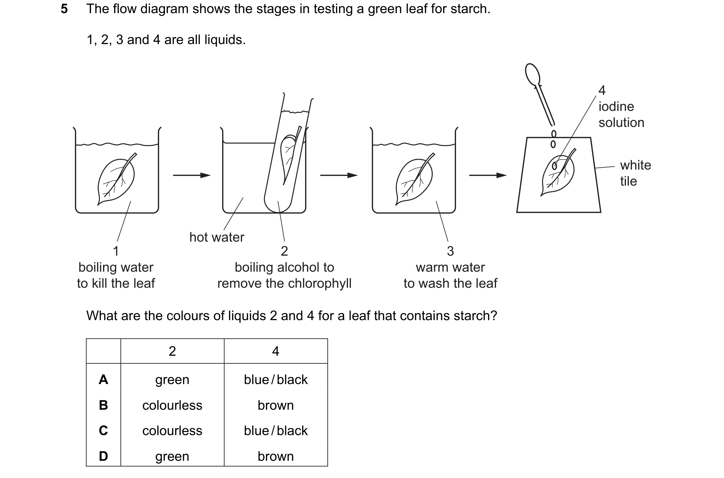 Question 73: The flow diagram shows the stages in testing a green leaf for starch. 1, 2, 3 and 4 are all liquids. 4 iodine solution white tile hot water…