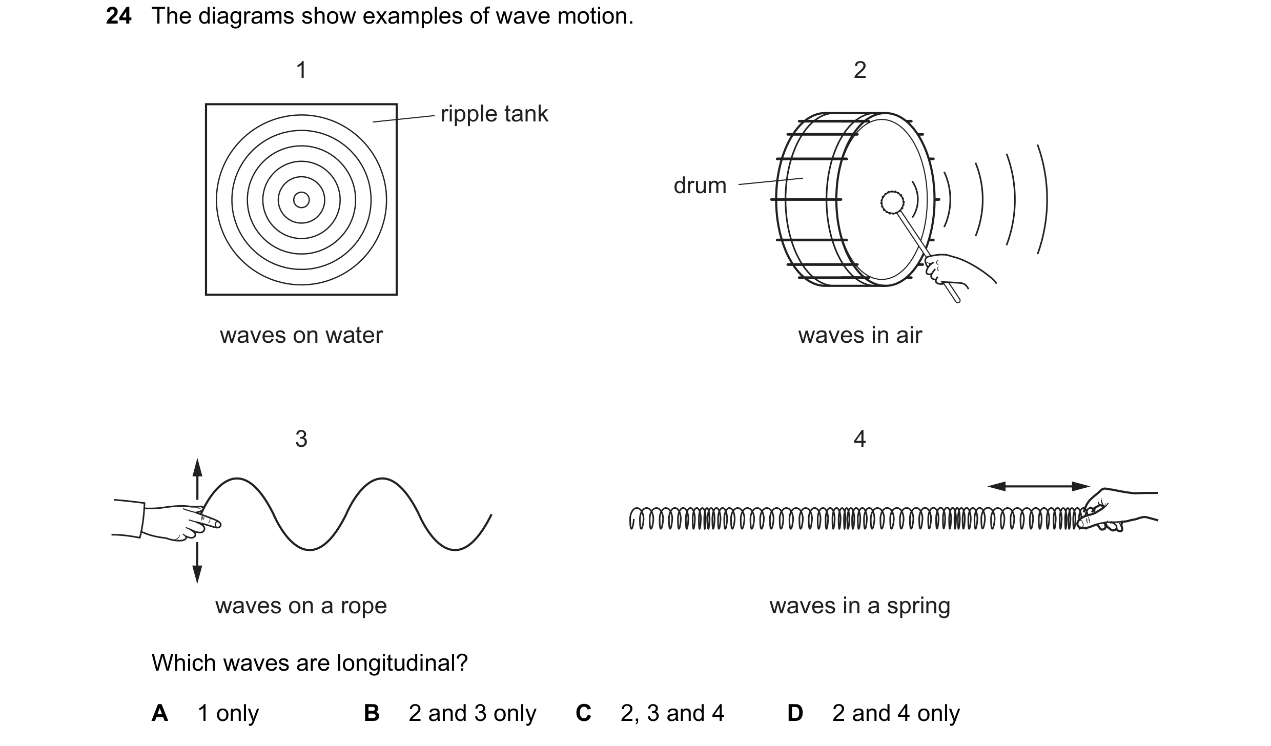 Question 48: The diagrams show examples of wave motion. 1 2 ripple tank drum waves on water waves in air 3 4 waves on a rope waves in a spring Which wav…