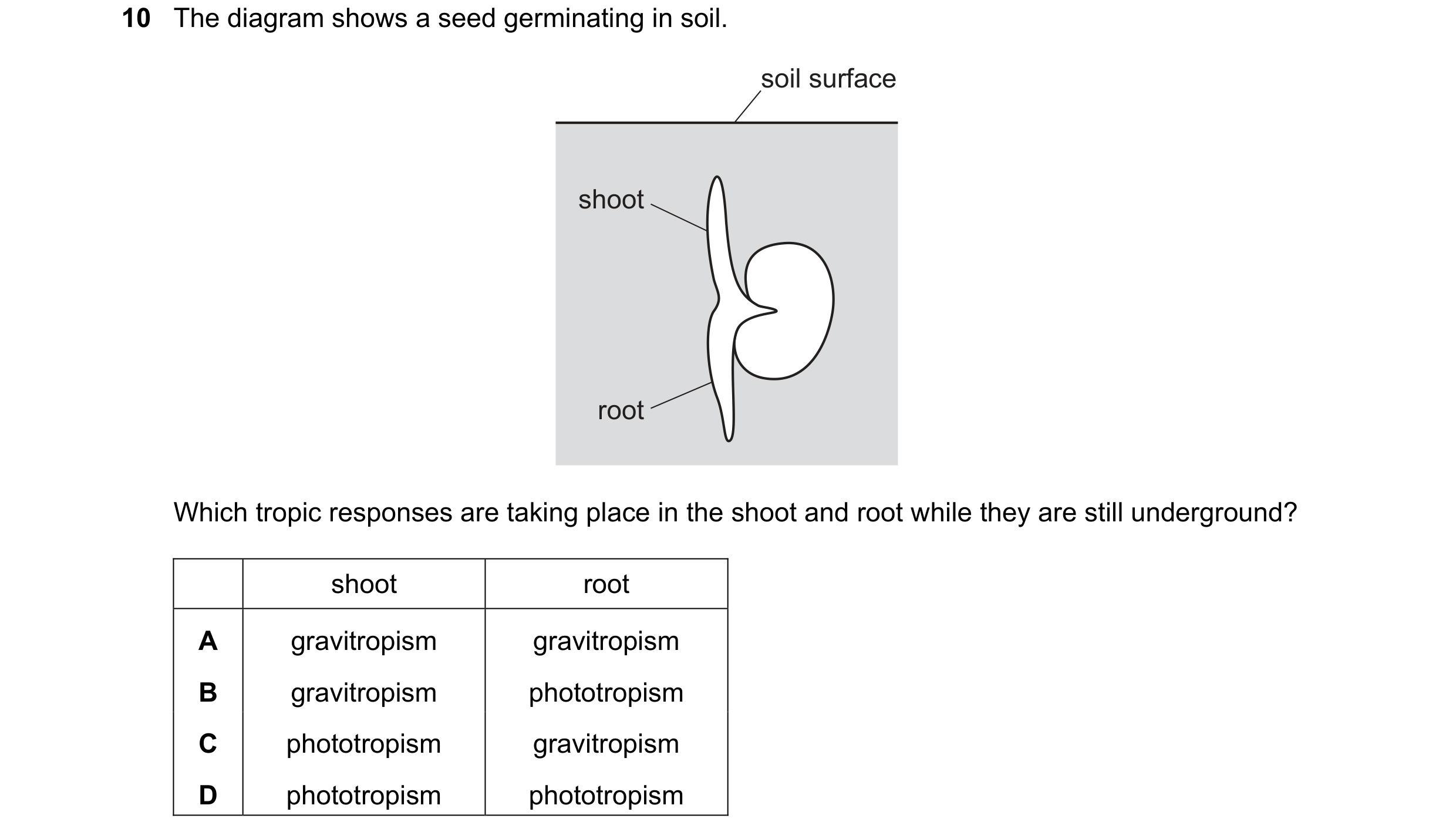 Question 44: The diagram shows a seed germinating in soil. soil surface shoot root Which tropic responses are taking place in the shoot and root while t…