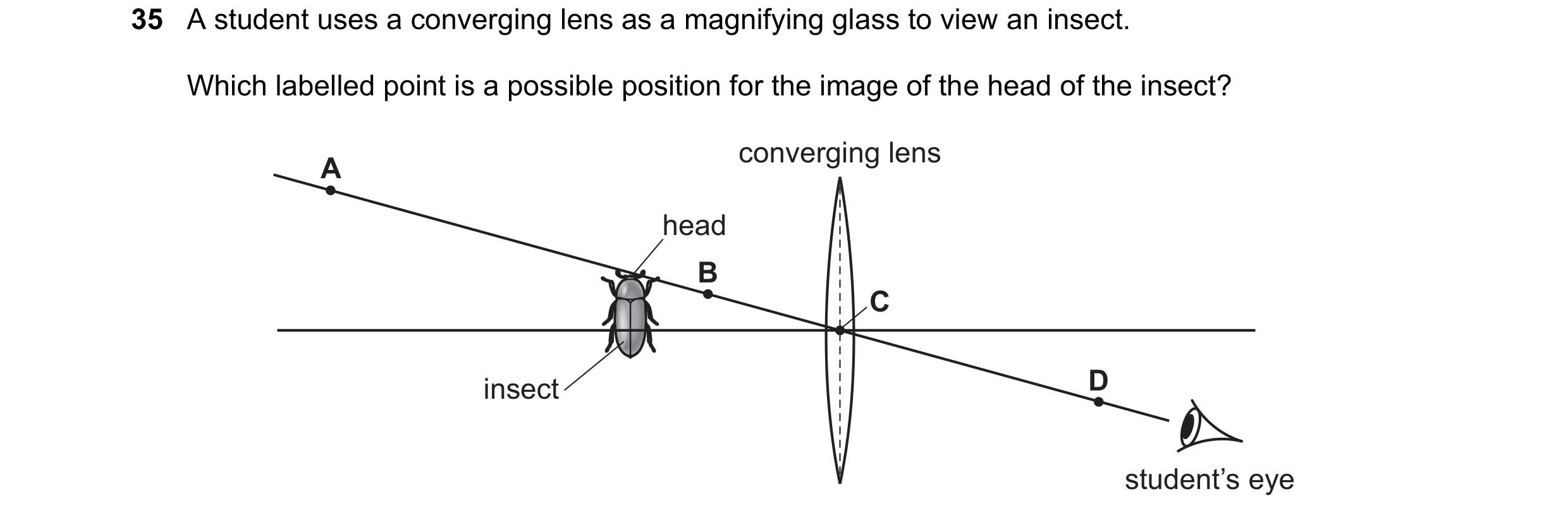 Question 35: A student uses a converging lens as a magnifying glass to view an insect. Which labelled point is a possible position for the image of the …