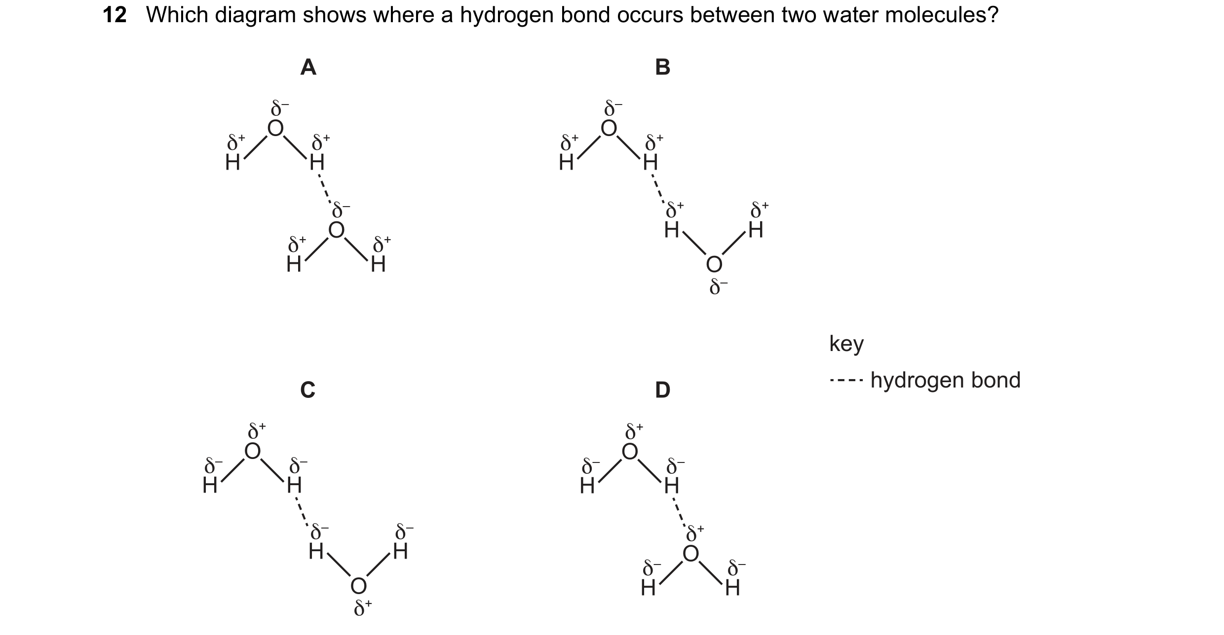 Question 62: Which diagram shows where a hydrogen bond occurs between two water molecules? A B δ– δ– O O δ+ δ+ δ+ δ+ H H H H δ– δ+ δ+ O H H δ+ δ+ H H O …
