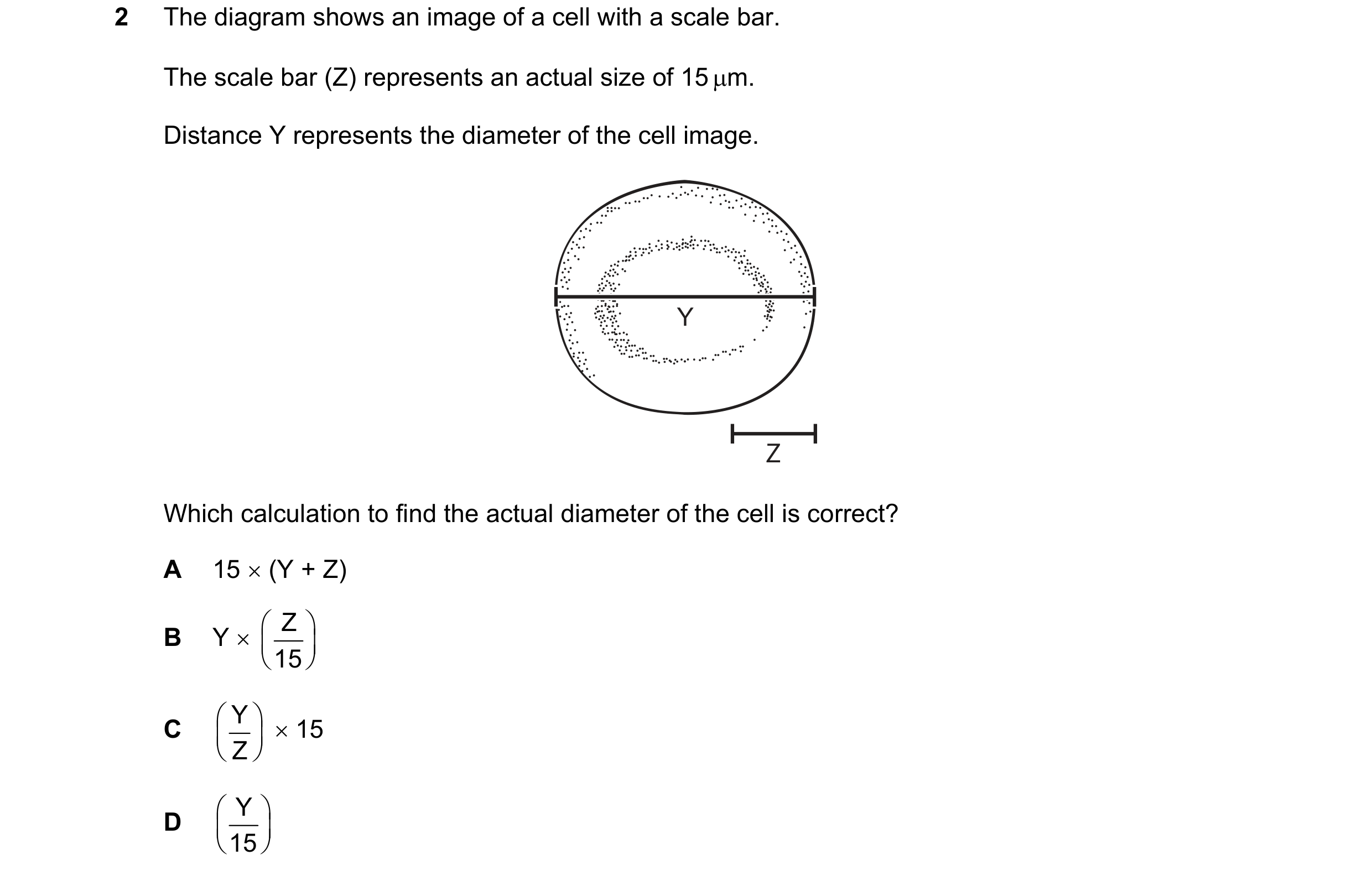 Question 195: The diagram shows an image of a cell with a scale bar. The scale bar (Z) represents an actual size of 15 m. Distance Y represents the diam…
