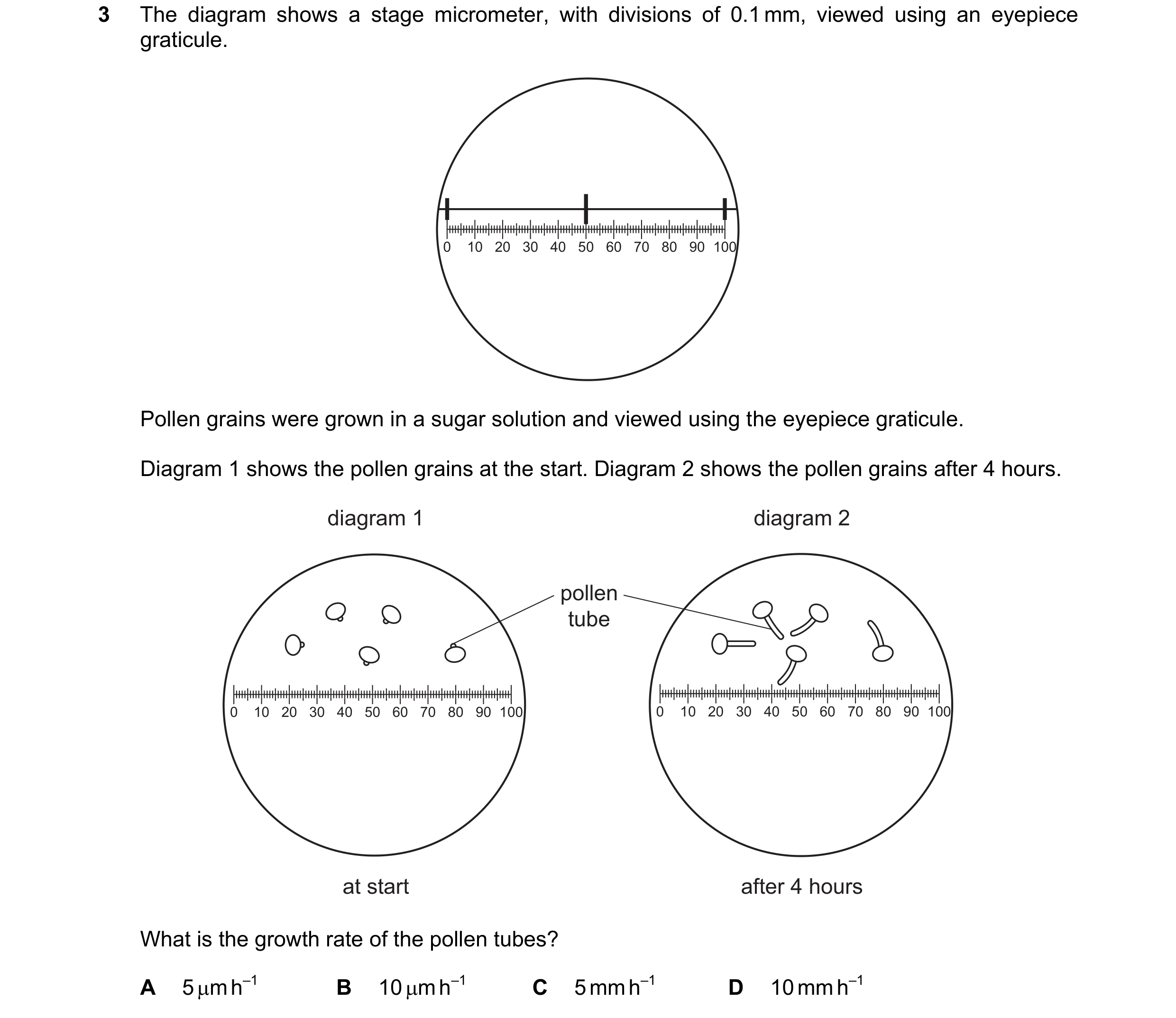 Question 196: The diagram shows a stage micrometer, with divisions of 0.1 mm, viewed using an eyepiece graticule. 0 10 20 30 40 50 60 70 80 90 100 Pollen…