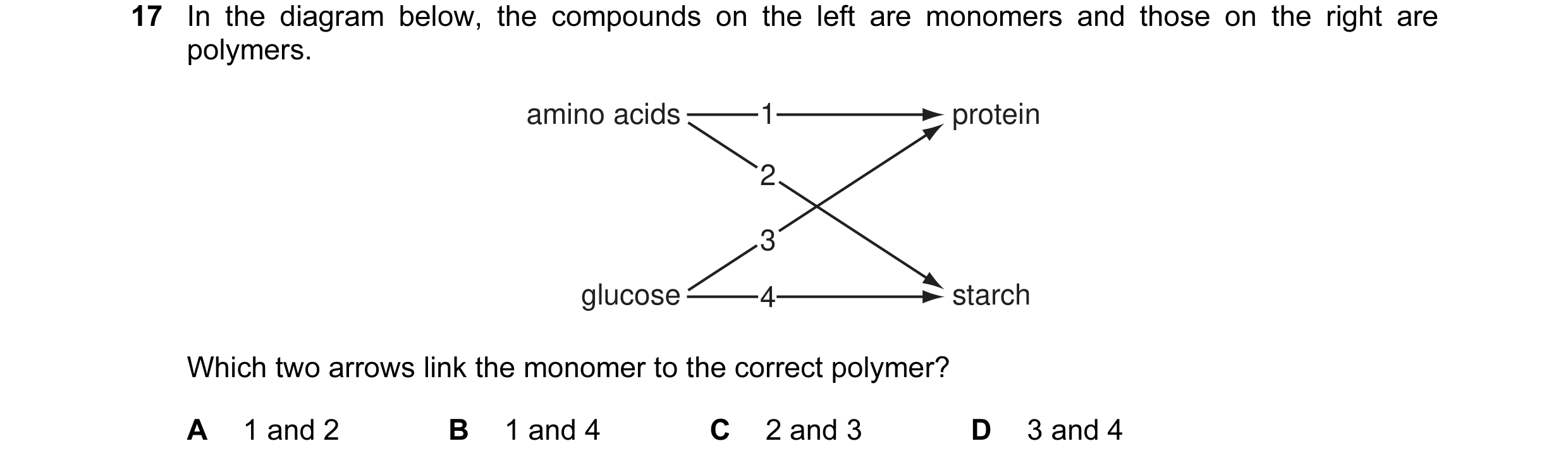 Question 12: In the diagram below, the compounds on the left are monomers and those on the right are polymers. amino acids 1 protein 2 3 glucose 4 starc…