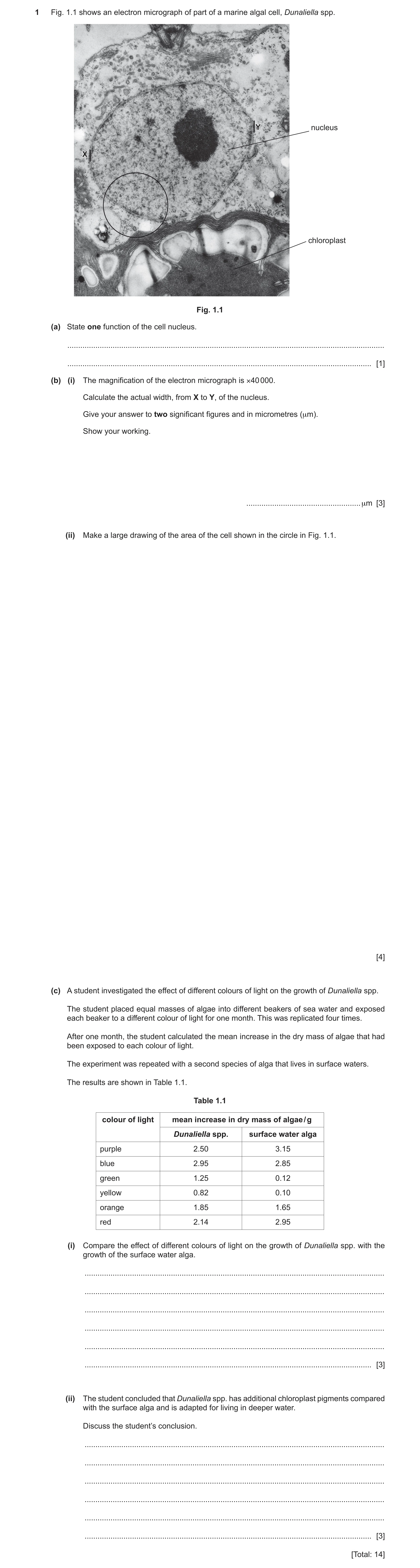 Question 9: Fig. 1.1 shows an electron micrograph of part of a marine algal cell, Dunaliella spp. Y nucleus X chloroplast Fig. 1.1 (a) State one functi…