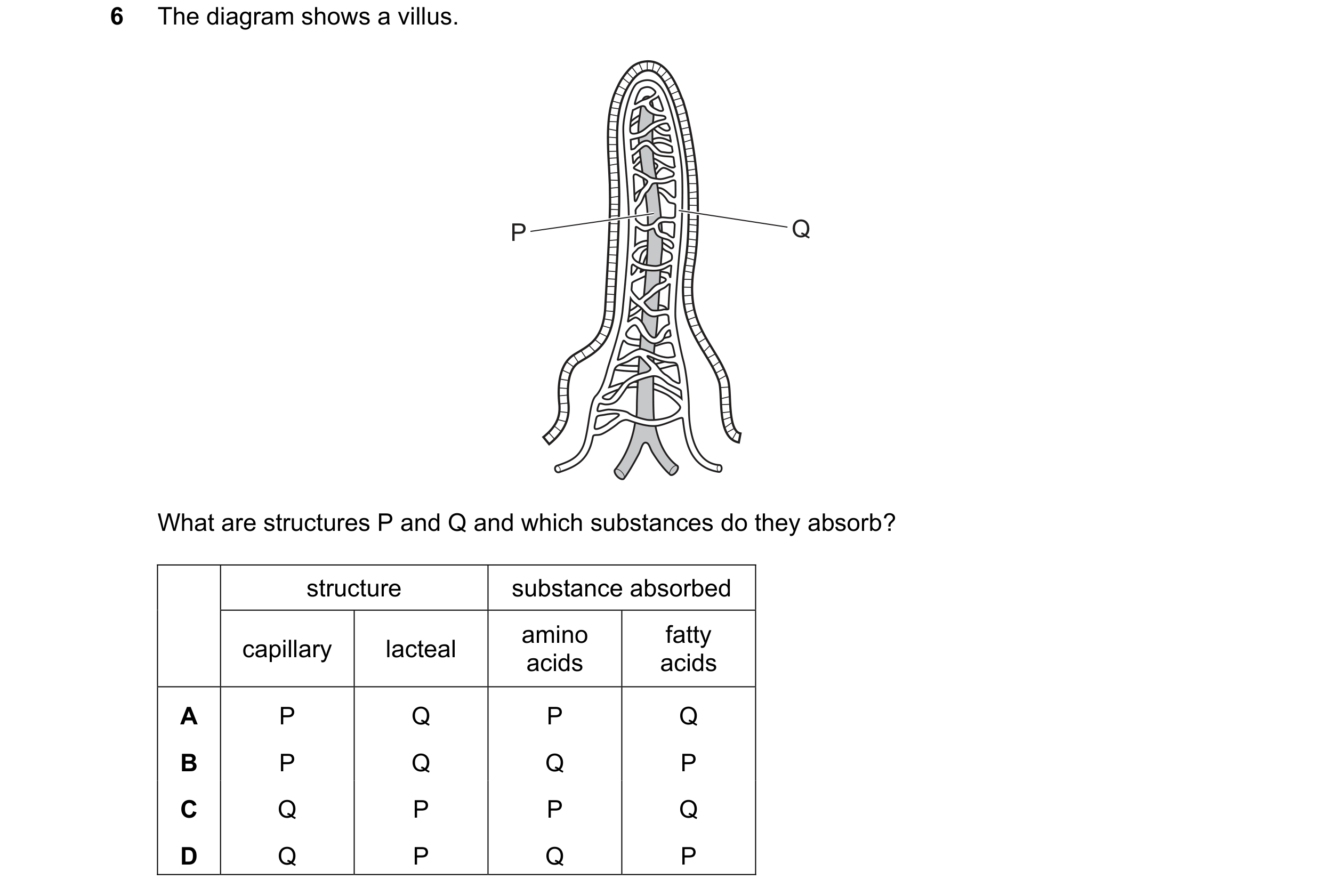Question 12: The diagram shows a villus. P Q What are structures P and Q and which substances do they absorb? structure substance absorbed amino fatty c…