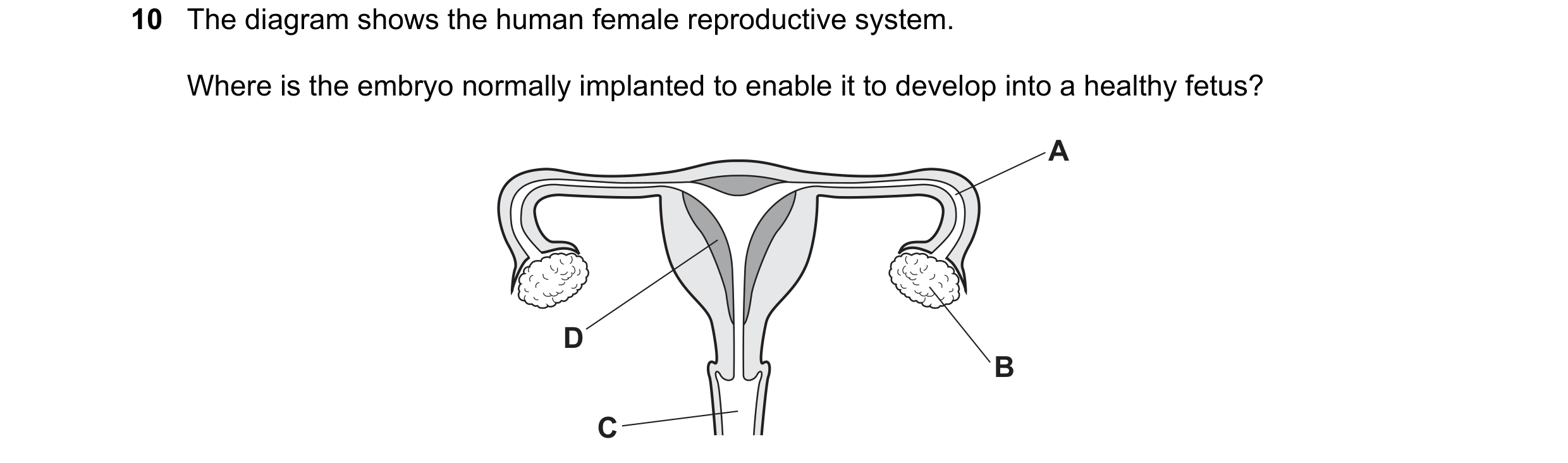 Question 65: The diagram shows the human female reproductive system. Where is the embryo normally implanted to enable it to develop into a healthy fetus…