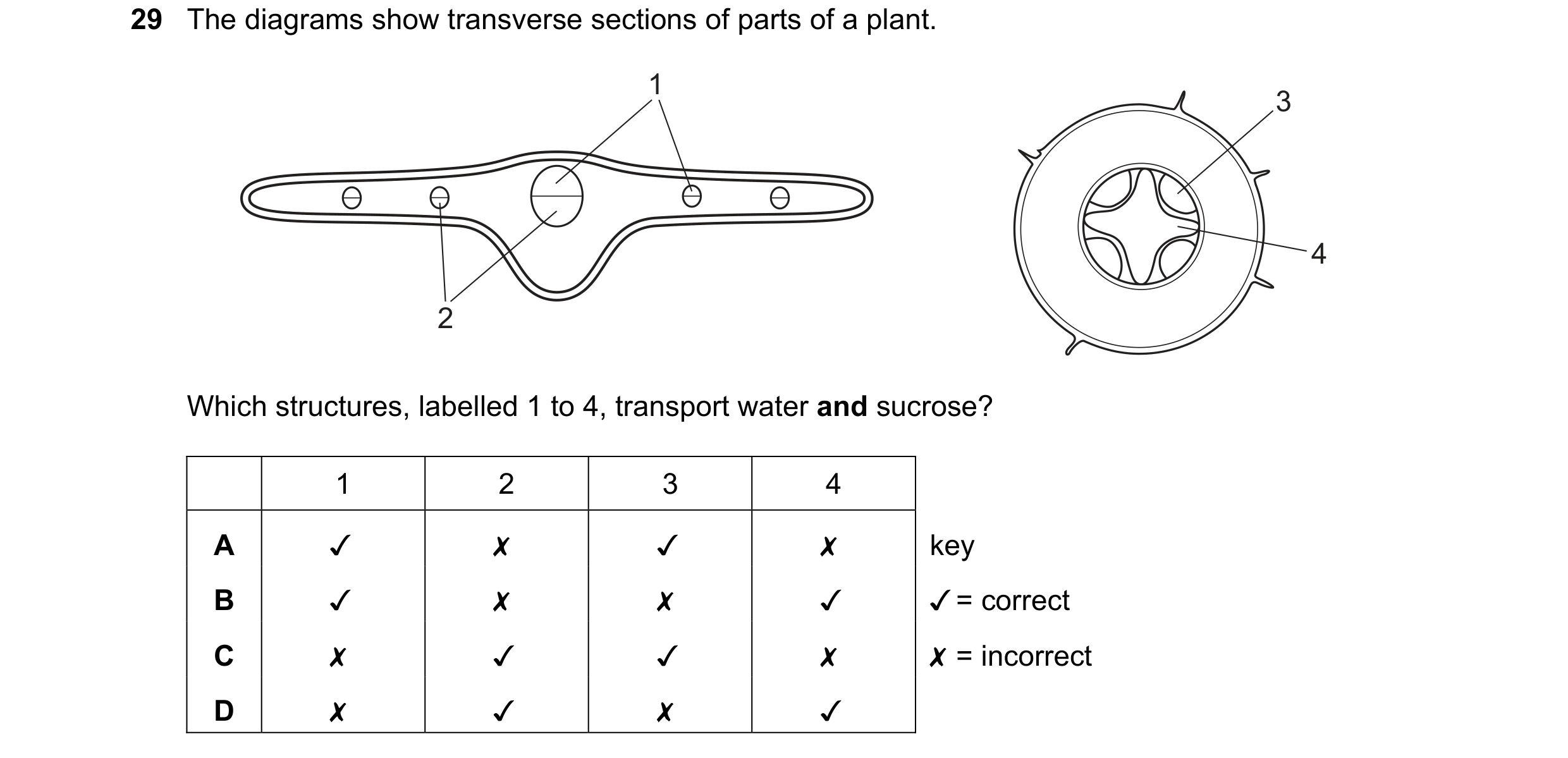 Question 54: The diagrams show transverse sections of parts of a plant.

Which structures, labelled 1 to 4, transport water and sucrose?

1 2 3 4
A Jv x…