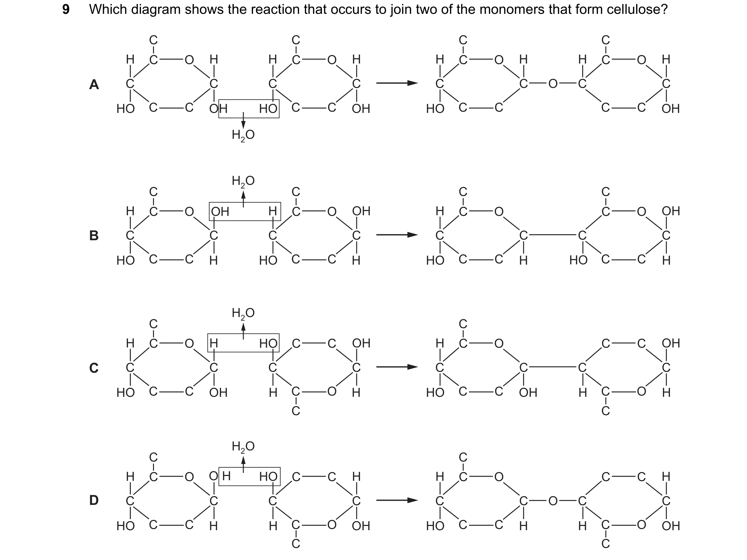 Question 181: Which diagram shows the reaction that occurs to join two of the monomers that form cellulose? C C C C H C O H H C O H H C O H H C O H A C C…