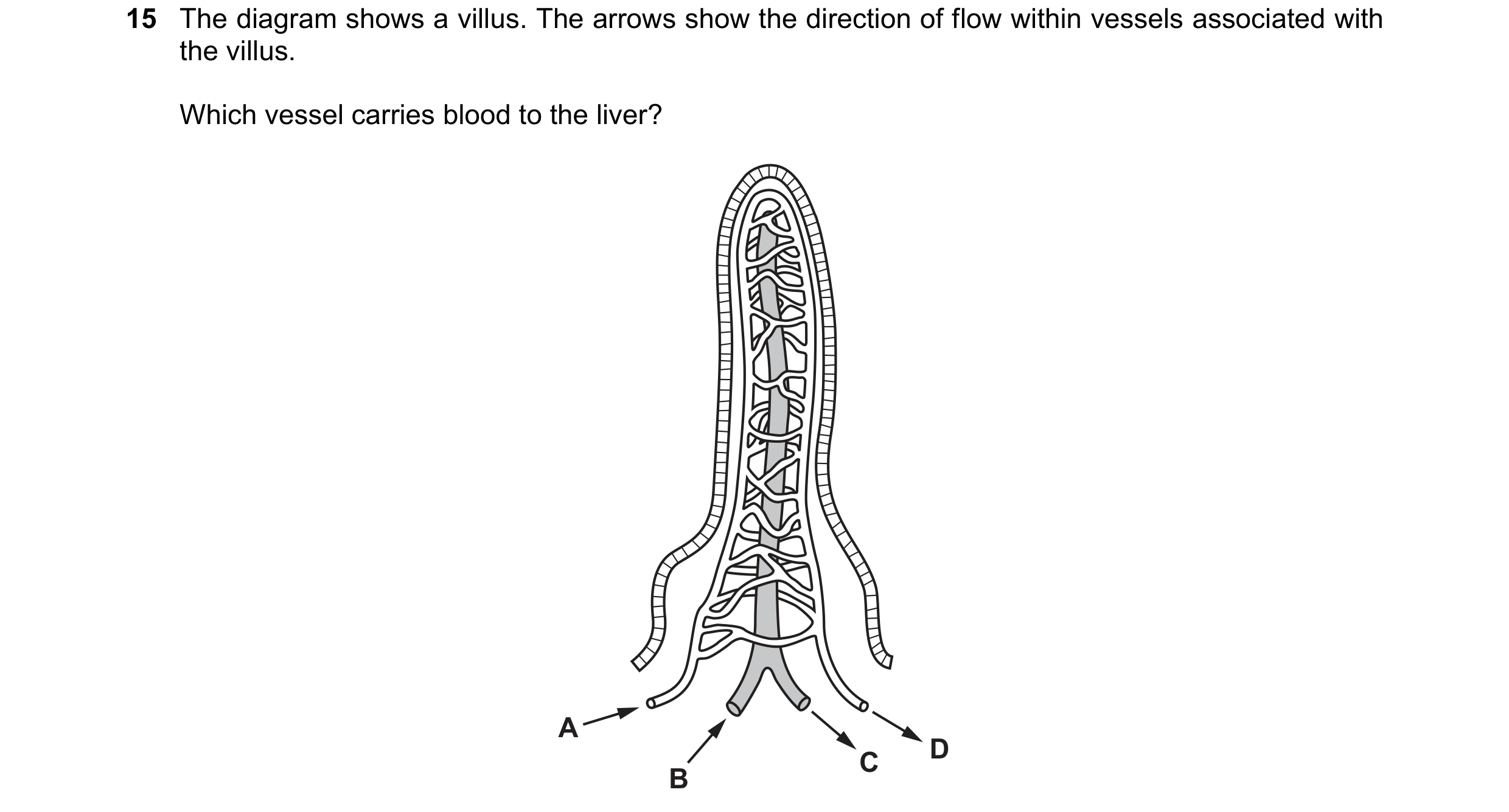 Question 7: The diagram shows a villus. The arrows show the direction of flow within vessels associated with the villus. Which vessel carries blood to …