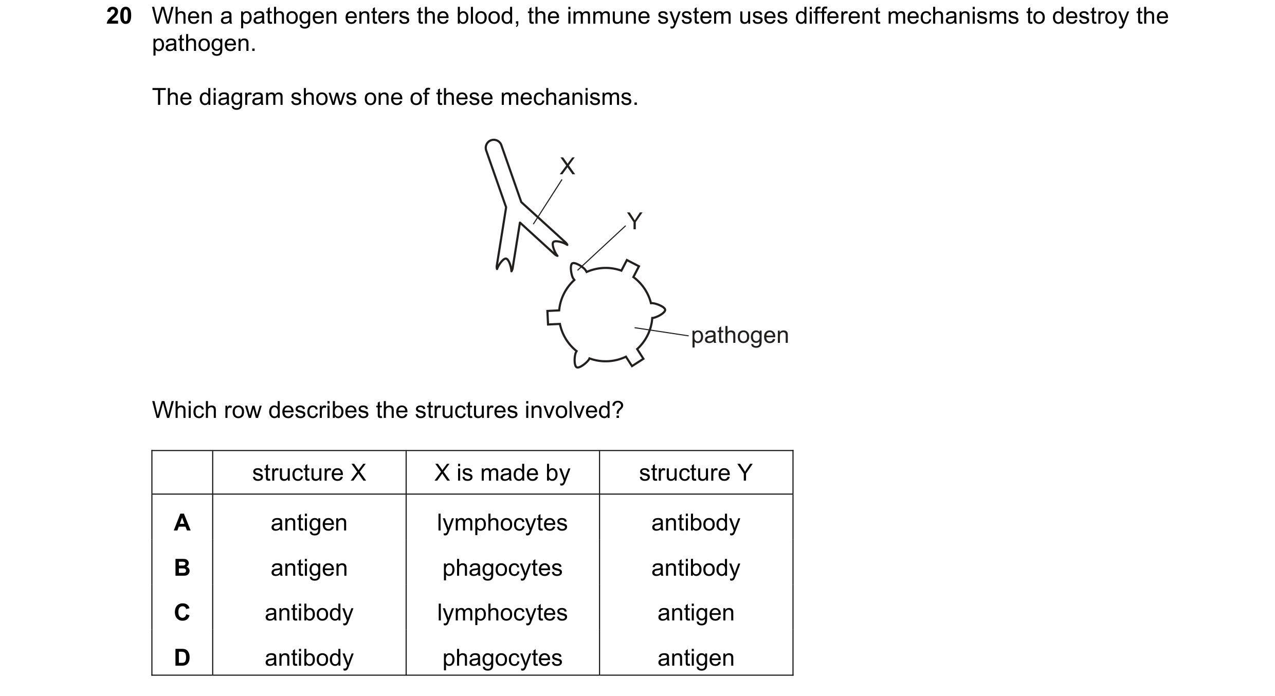 Question 34: When a pathogen enters the blood, the immune system uses different mechanisms to destroy the pathogen. The diagram shows one of these mecha…