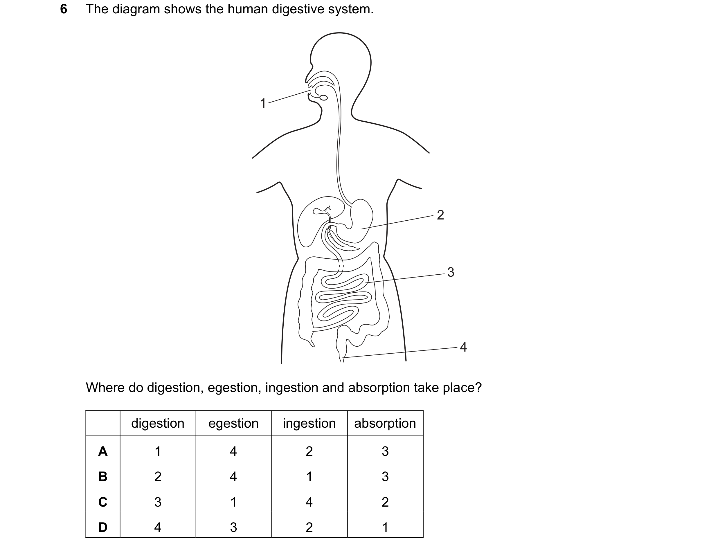 Question 37: The diagram shows the human digestive system. 1 2 3 4 Where do digestion, egestion, ingestion and absorption take place? digestion egestion…