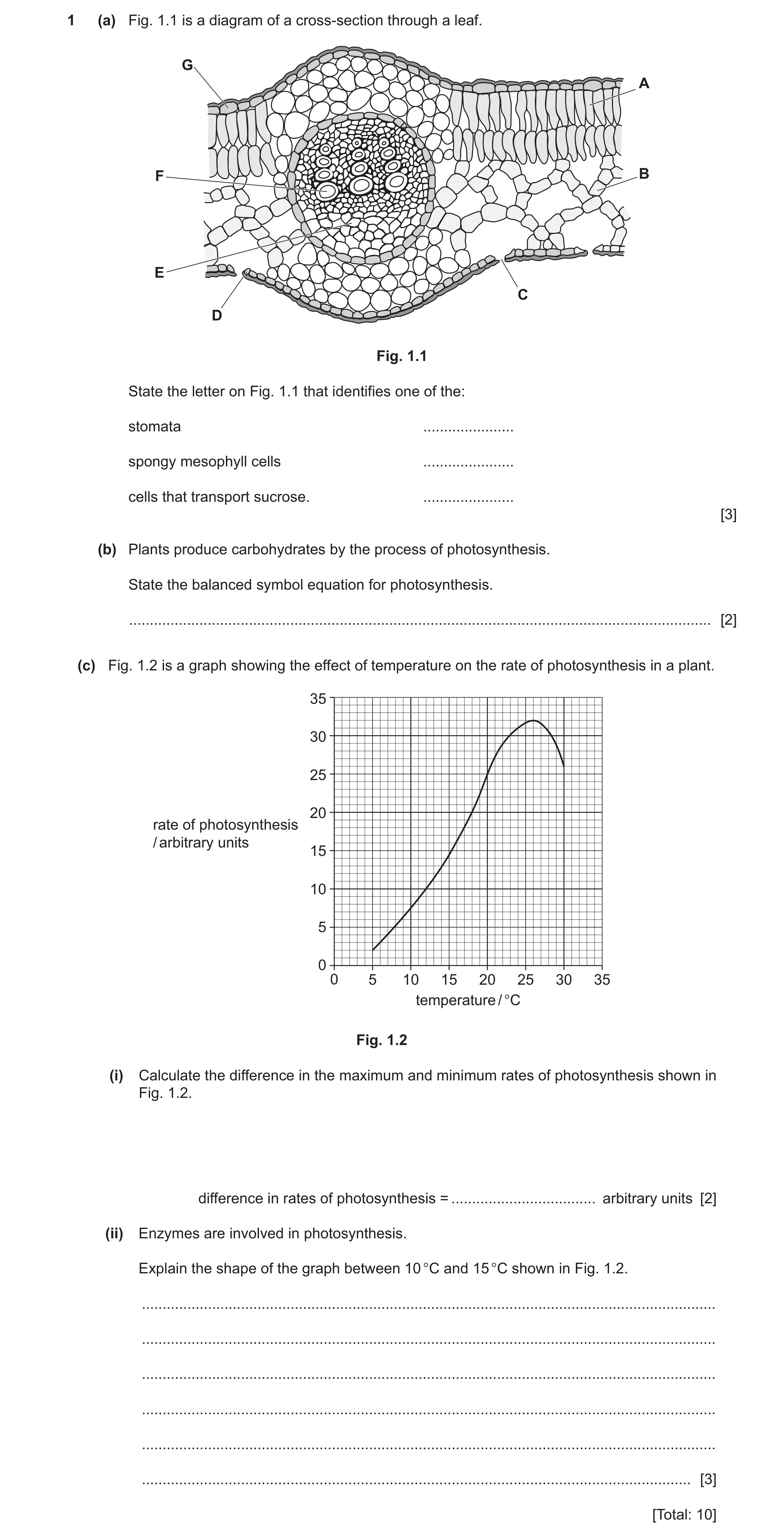 Question 15: (a) Fig. 1.1 is a diagram of a cross-section through a leaf. G A F B E C D Fig. 1.1 State the letter on Fig. 1.1 that identifies one of the…