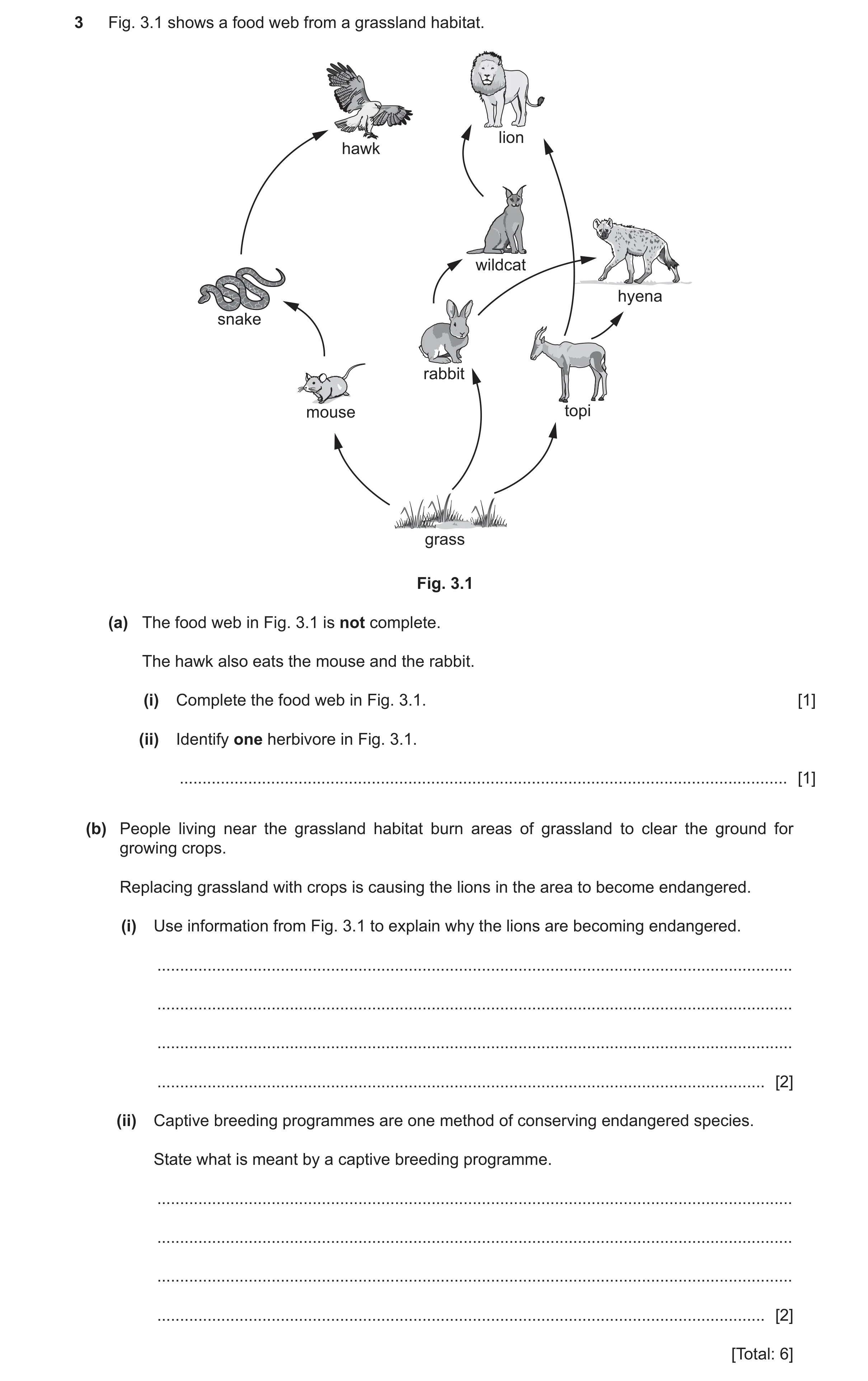 Question 30: Fig. 3.1 shows a food web from a grassland habitat. lion hawk wildcat hyena snake rabbit mouse topi grass Fig. 3.1 (a) The food web in Fig.…