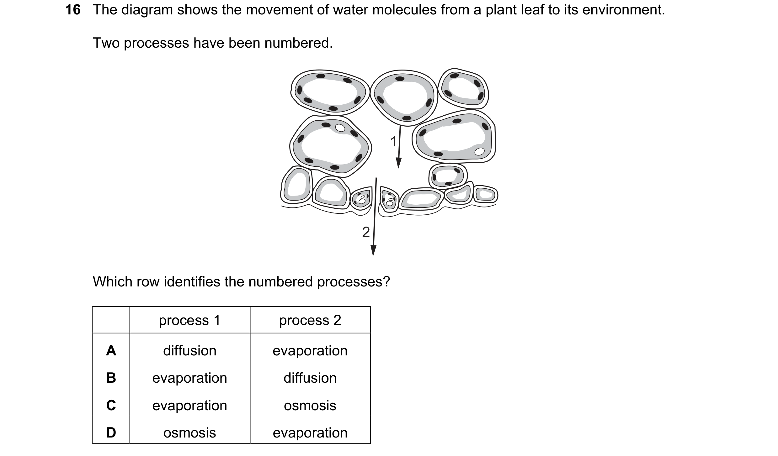 Question 24: The diagram shows the movement of water molecules from a plant leaf to its environment. Two processes have been numbered. 1 2 Which row ide…