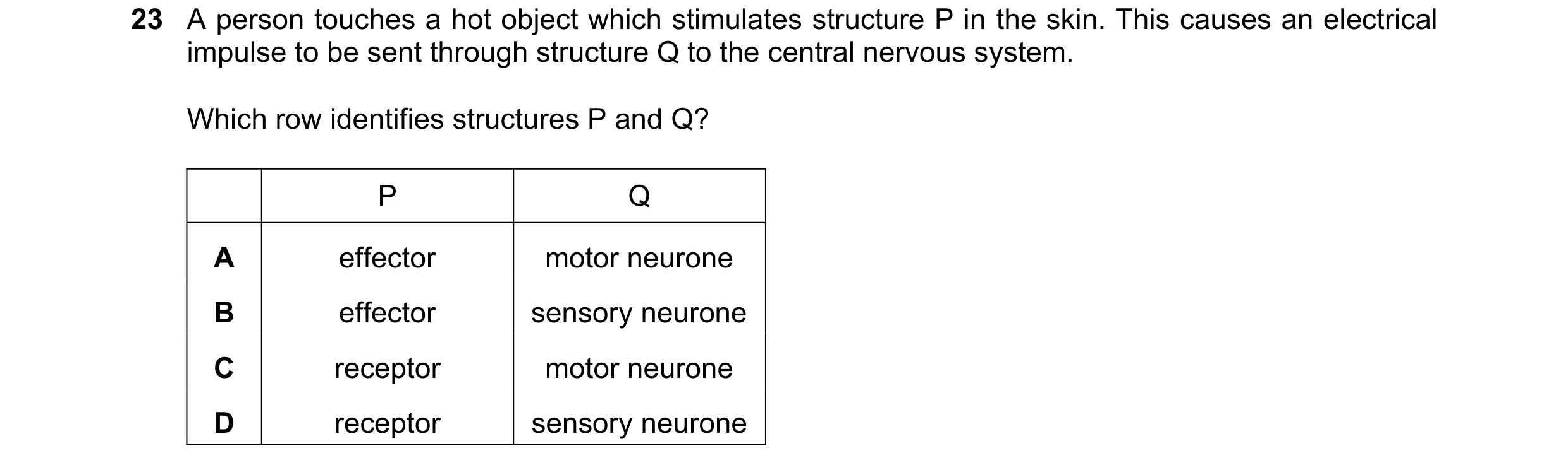 Question 36: A person touches a hot object which stimulates structure P in the skin. This causes an electrical impulse to be sent through structure Q to…