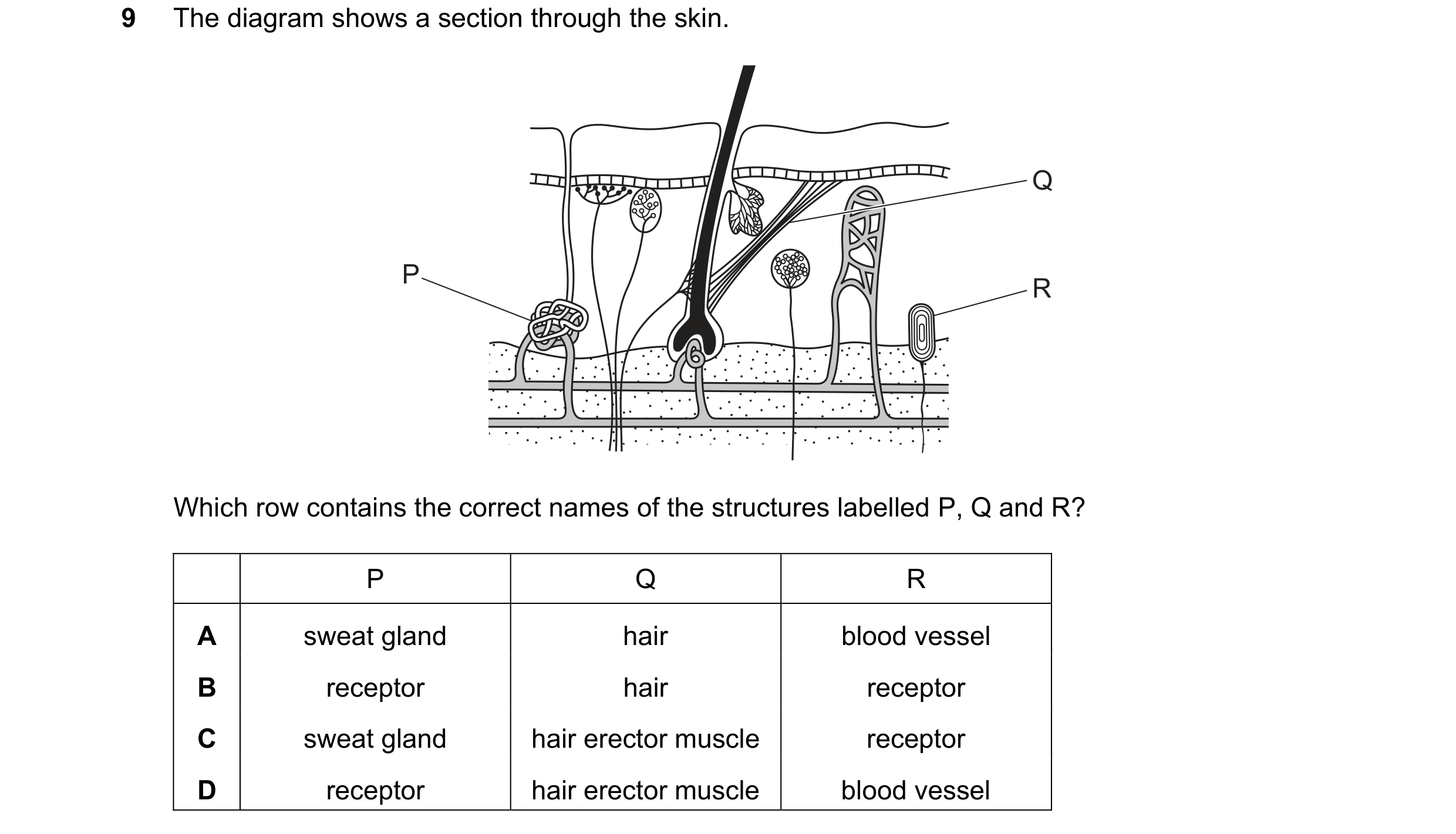 Question 72: The diagram shows a section through the skin. Q P R Which row contains the correct names of the structures labelled P, Q and R? P Q R A swe…
