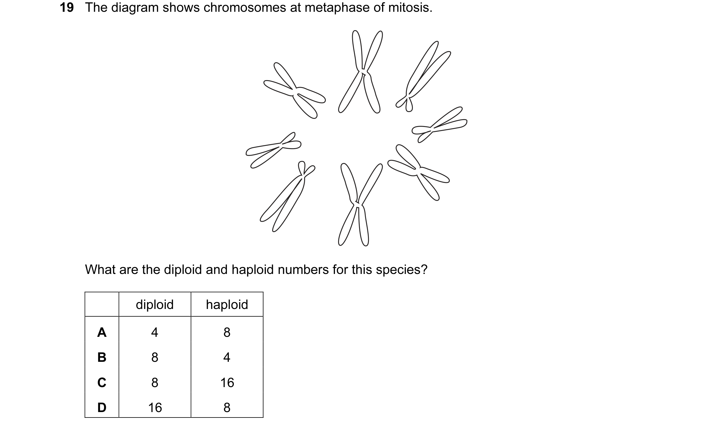 Question 11: The diagram shows chromosomes at metaphase of mitosis. What are the diploid and haploid numbers for this species? diploid haploid A 4 8 B 8…