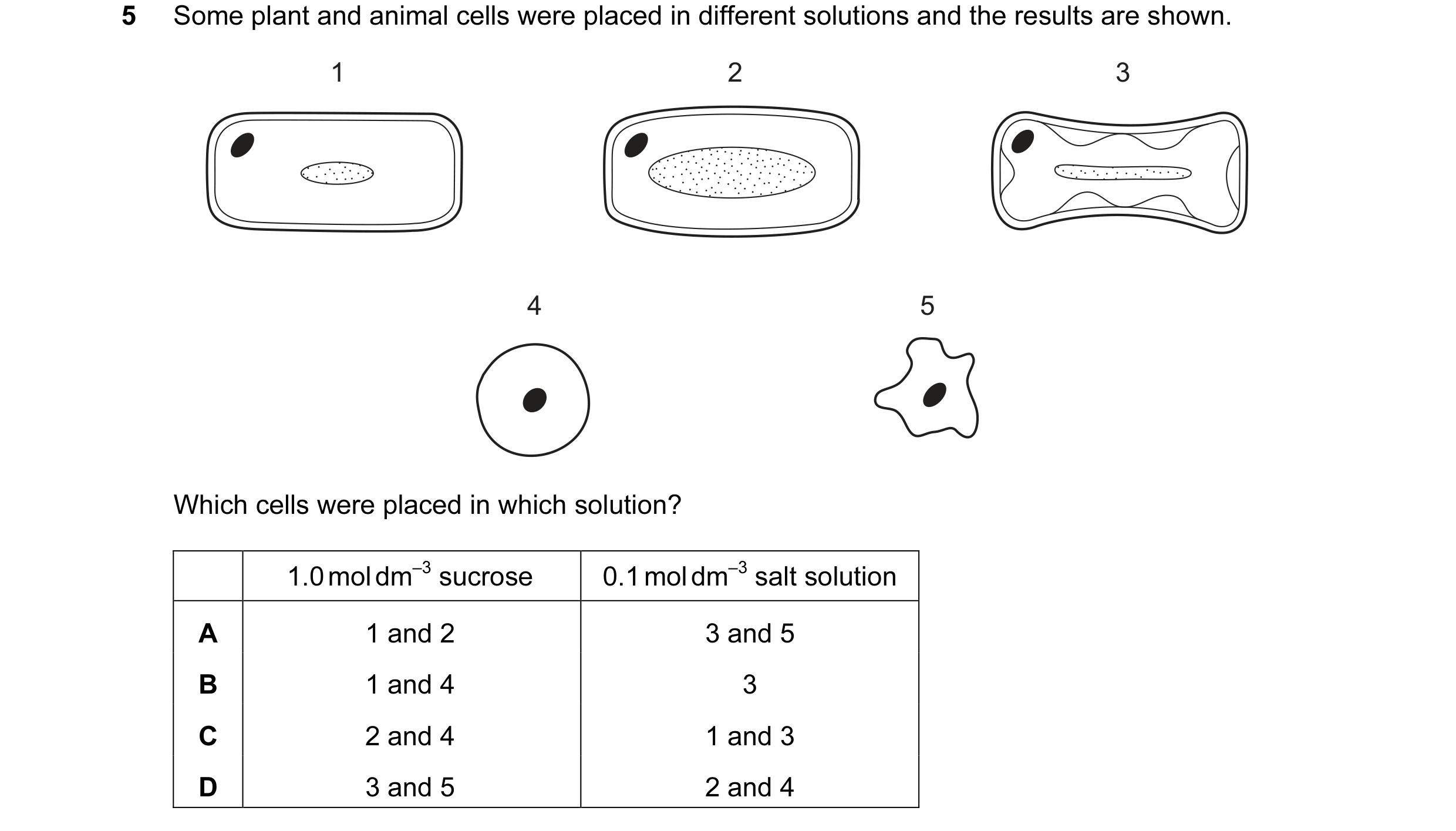 Question 26: Some plant and animal cells were placed in different solutions and the results are shown. 1 2 3 4 5 Which cells were placed in which soluti…