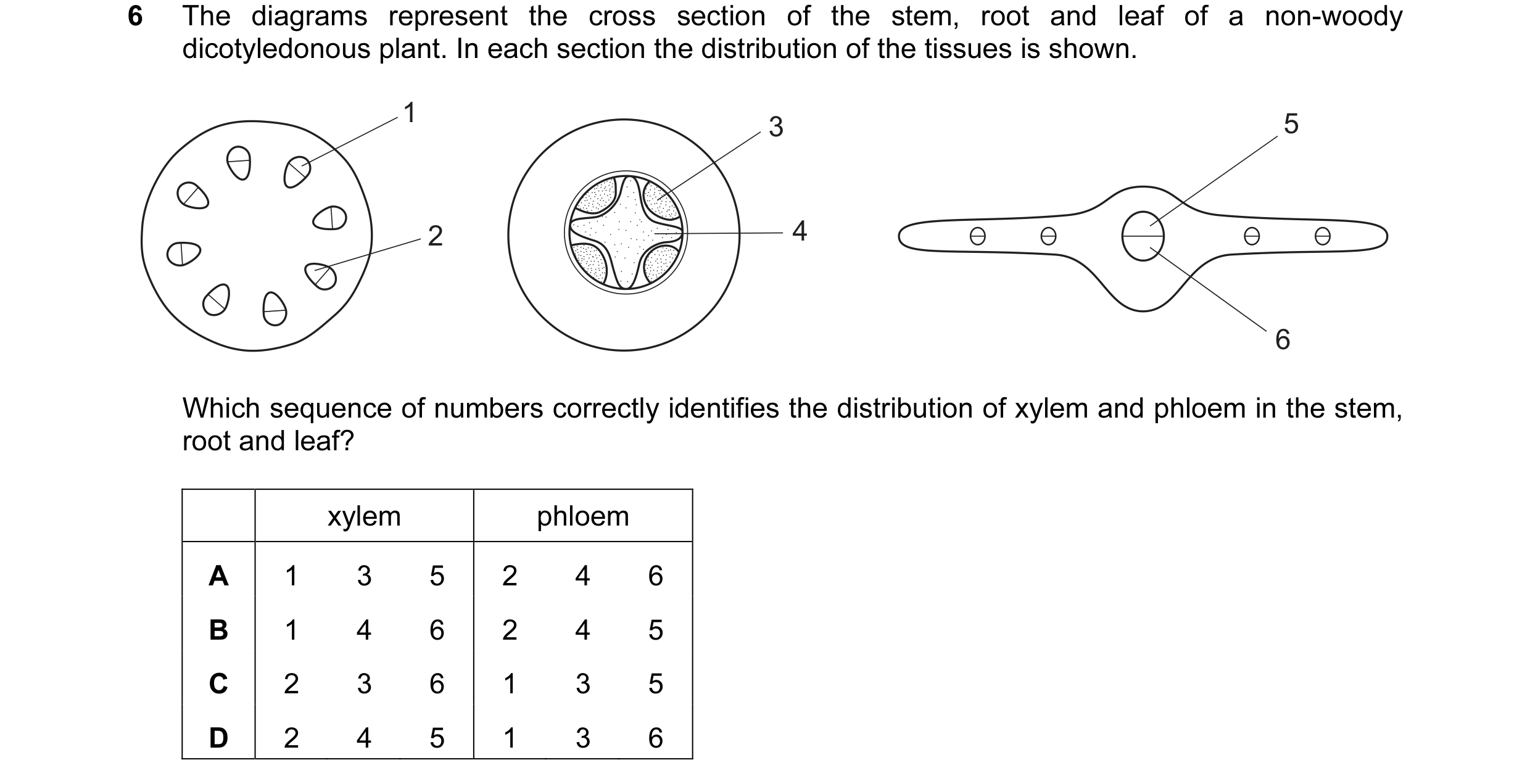 Question 12: The diagrams represent the cross section of the stem, root and leaf of a non-woody dicotyledonous plant. In each section the distribution o…