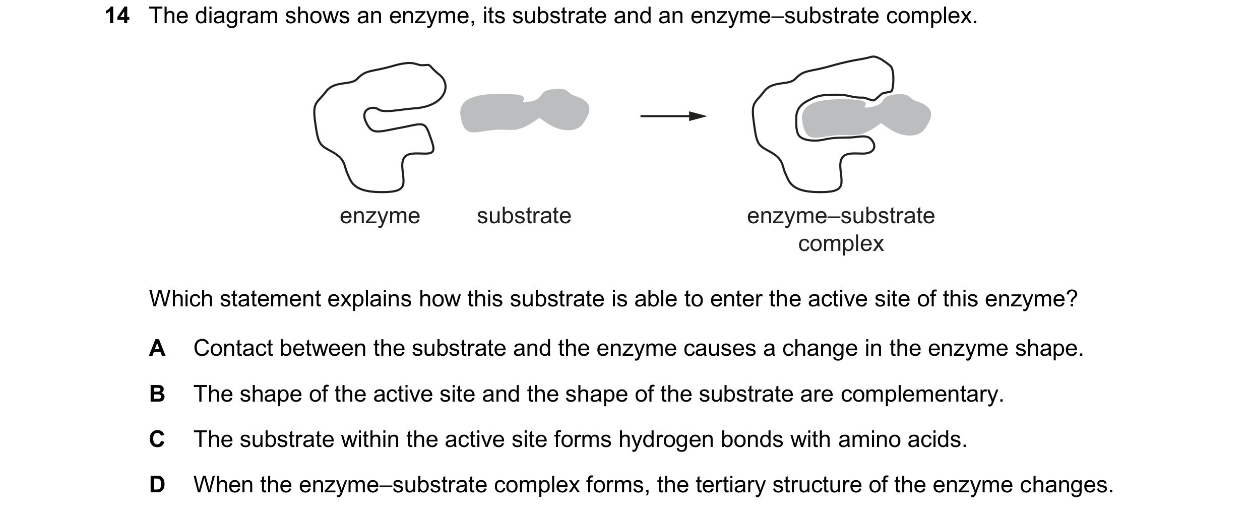 Question 98: The diagram shows an enzyme, its substrate and an enzyme–substrate complex. enzyme substrate enzyme–substrate complex Which statement expla…