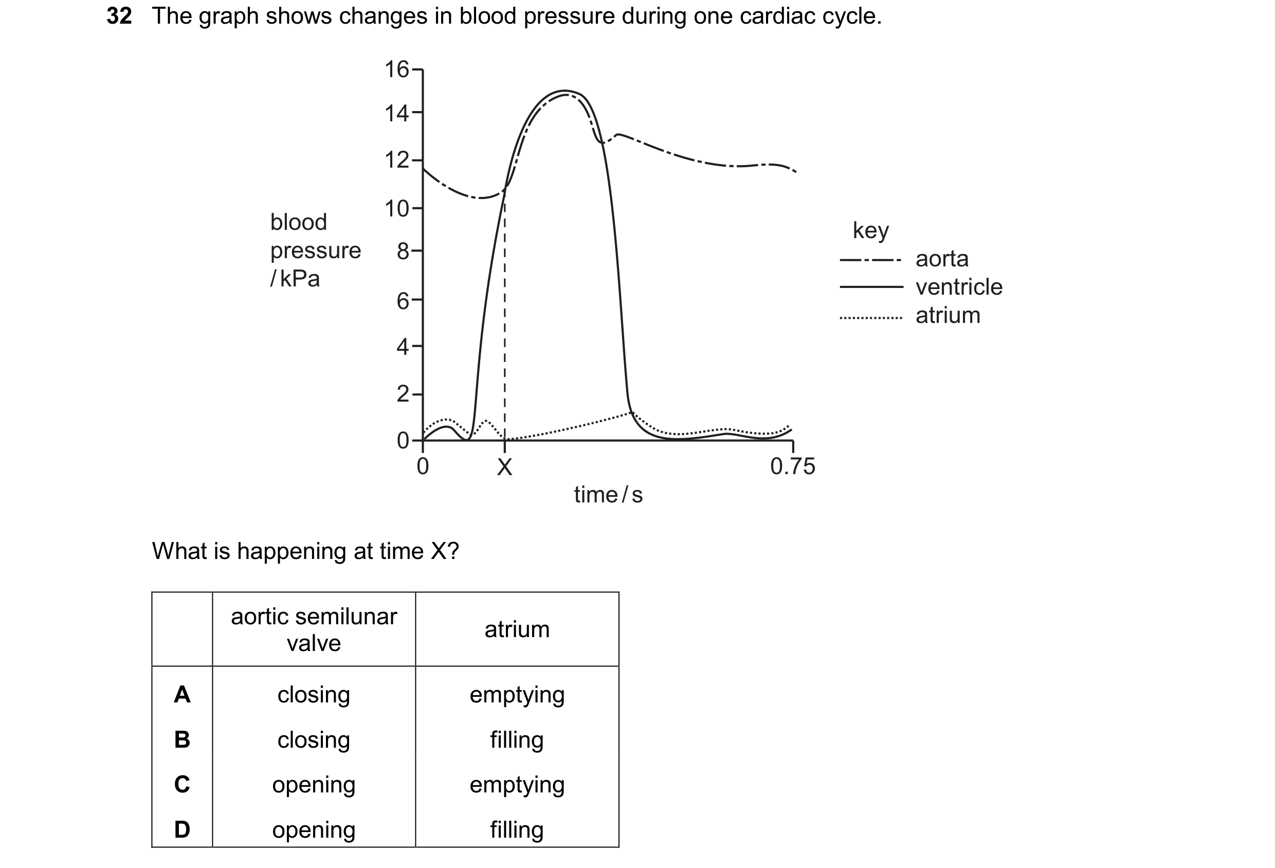 Question 145: The graph shows changes in blood pressure during one cardiac cycle. 16 14 12 10 blood key pressure 8 aorta / kPa ventricle 6 atrium 4 2 0 0…