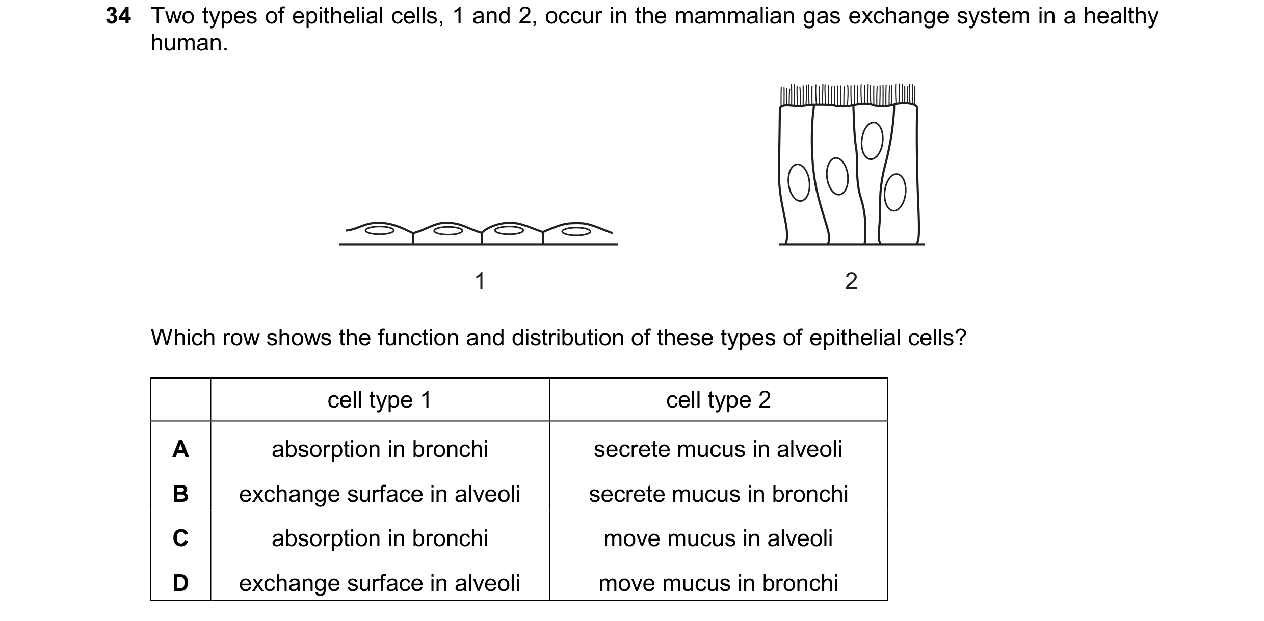 Question 270: Two types of epithelial cells, 1 and 2, occur in the mammalian gas exchange system in a healthy human. 1 2 Which row shows the function and…