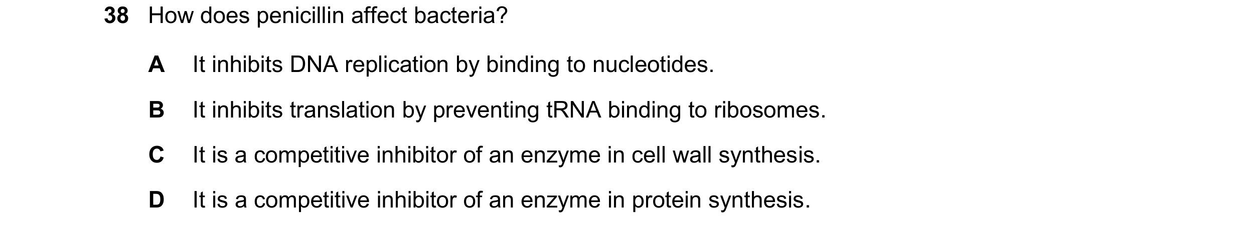 Question 96: How does penicillin affect bacteria? A It inhibits DNA replication by binding to nucleotides. B It inhibits translation by preventing tRNA …