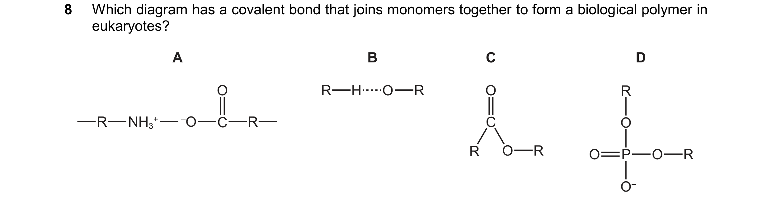 Question 257: Which diagram has a covalent bond that joins monomers together to form a biological polymer in eukaryotes? A B C D O R H O R O R R NH3 + –O…