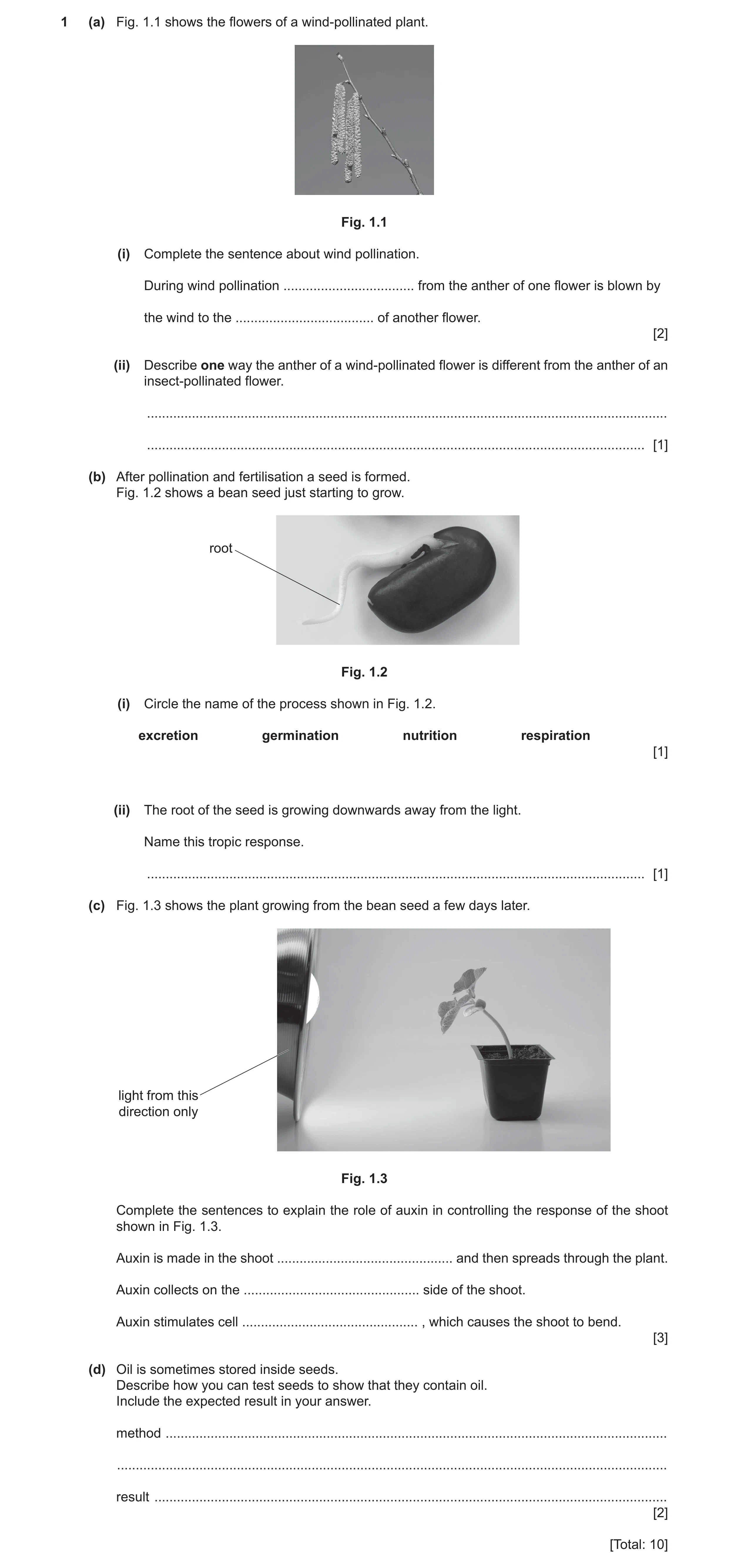 Question 11: (a) Fig. 1.1 shows the flowers of a wind-pollinated plant. Fig. 1.1 (i) Complete the sentence about wind pollination. During wind pollinati…