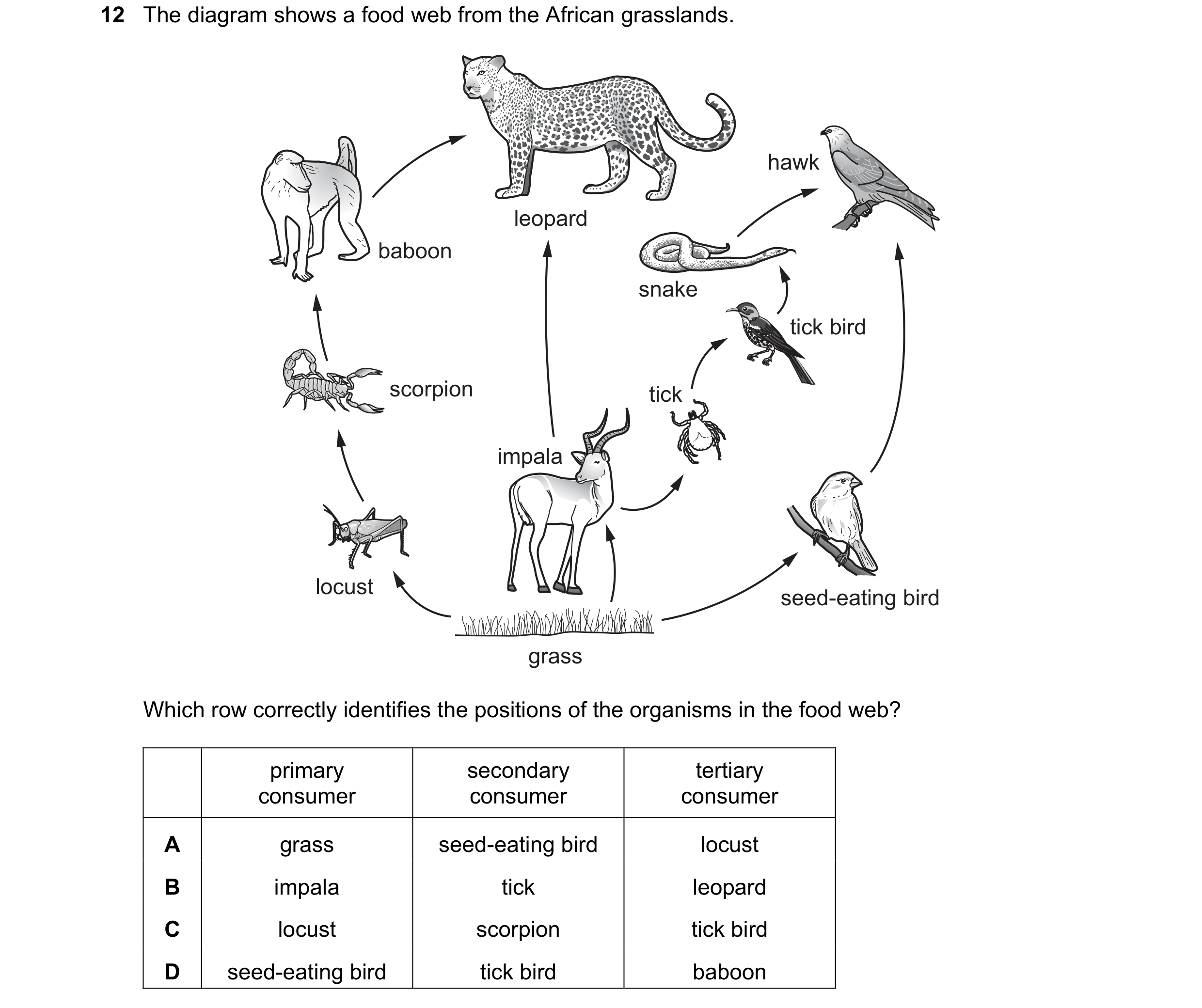 Question 13: The diagram shows a food web from the African grasslands. hawk leopard baboon snake tick bird scorpion tick impala locust seed-eating bird …