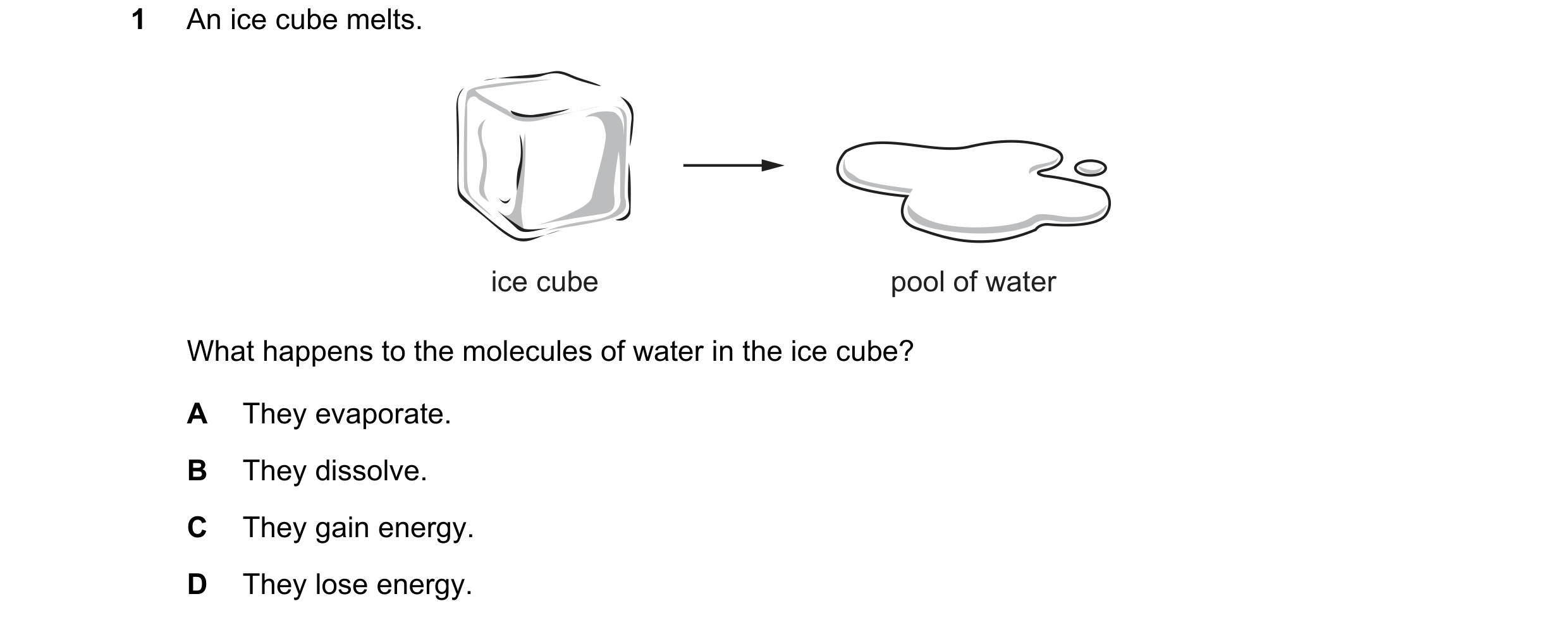 Question 12: An ice cube melts. ice cube pool of water What happens to the molecules of water in the ice cube? A They evaporate. B They dissolve. C They…