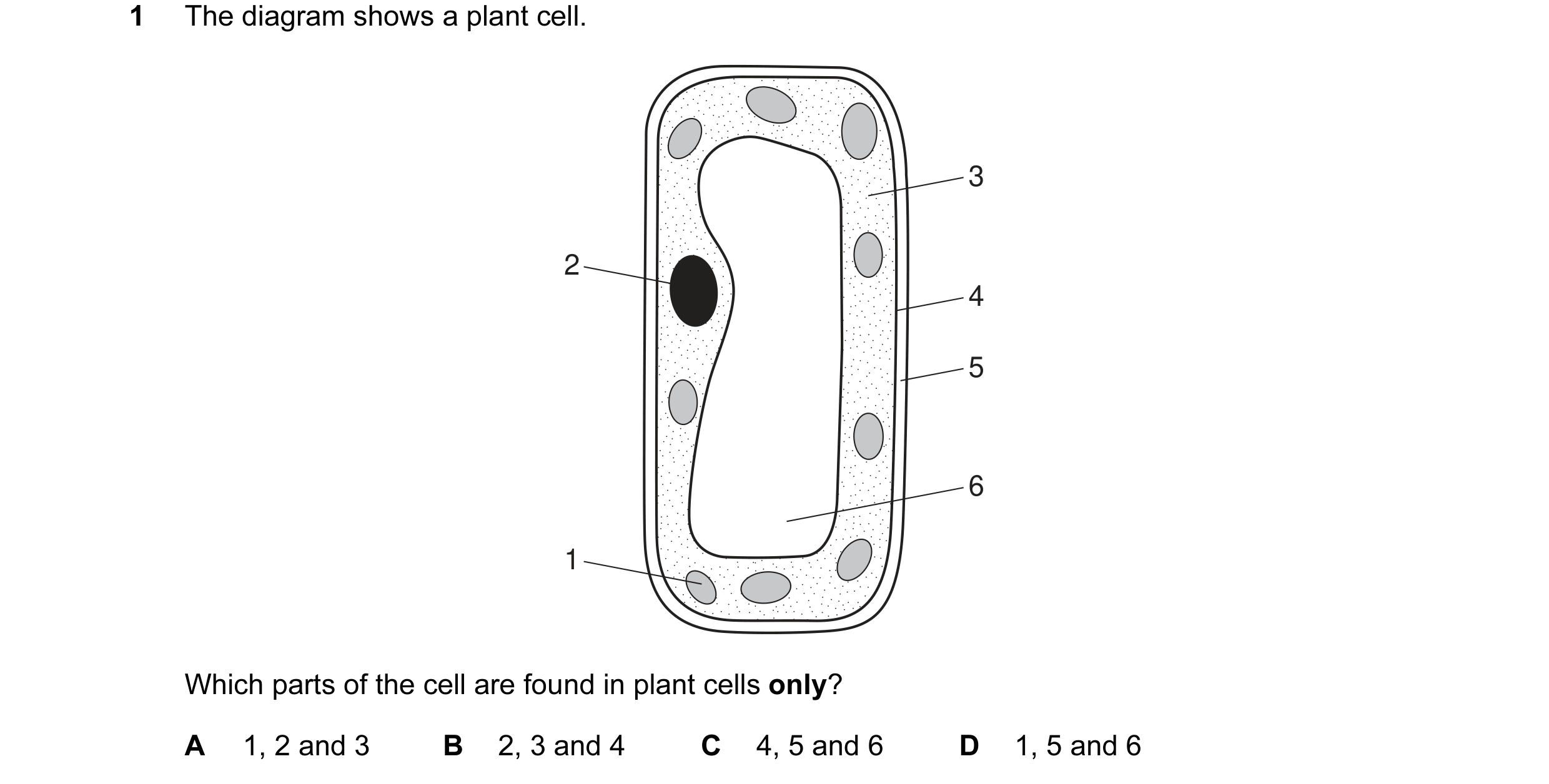 Question 36: The diagram shows a plant cell. 3 2 4 5 6 1 Which parts of the cell are found in plant cells only? A 1, 2 and 3 B 2, 3 and 4 C 4, 5 and 6 D…