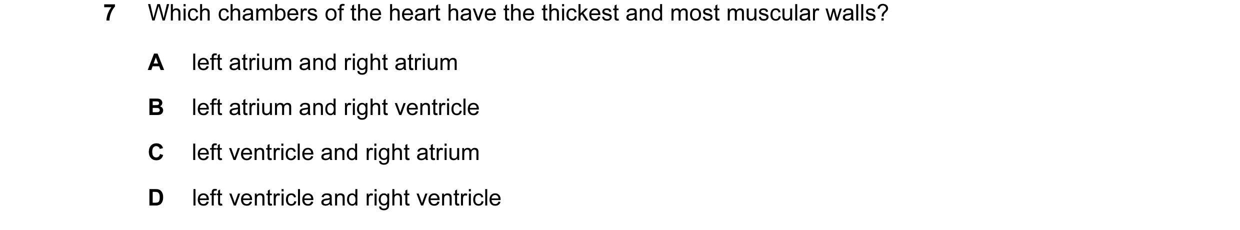 Question 24: Which chambers of the heart have the thickest and most muscular walls? A left atrium and right atrium B left atrium and right ventricle C l…