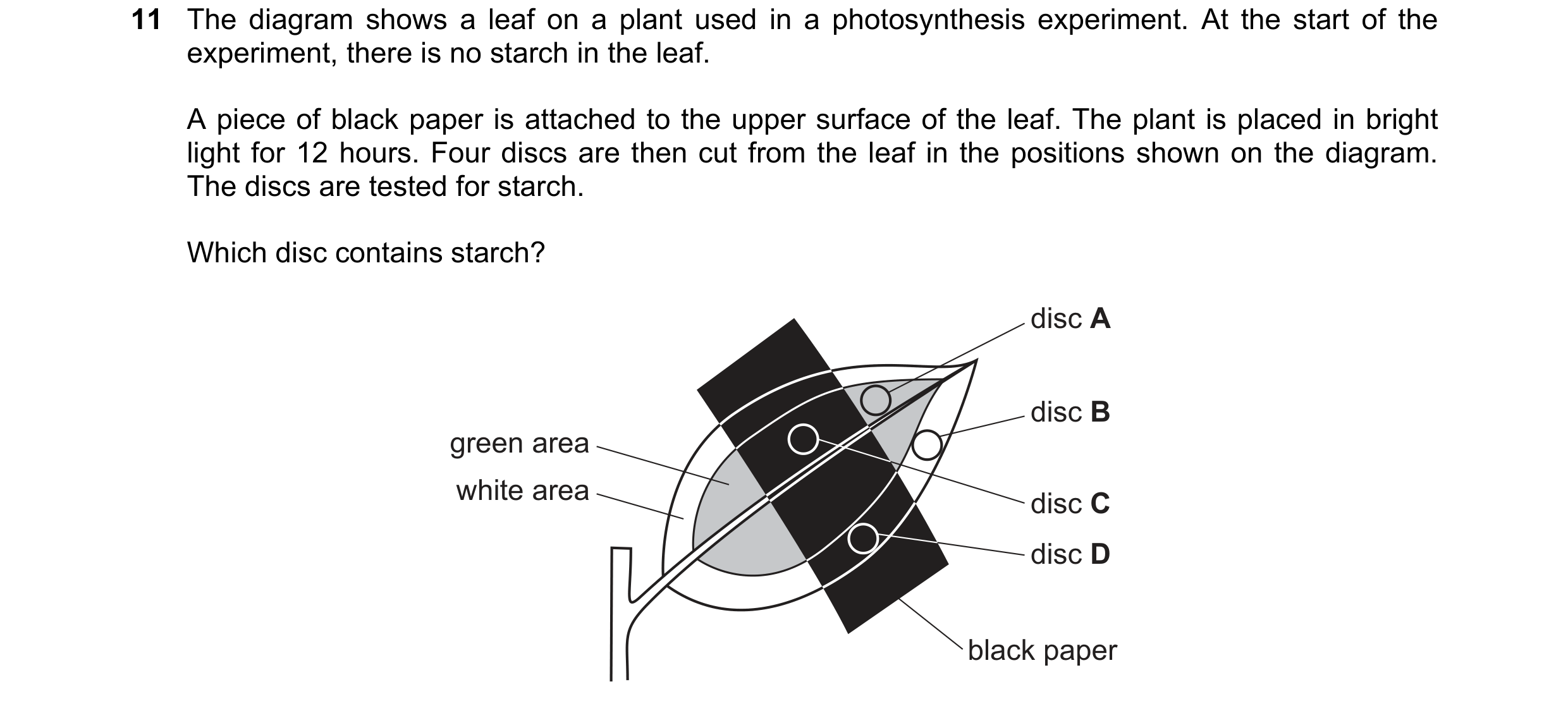 Question 35: The diagram shows a leaf on a plant used in a photosynthesis experiment. At the start of the experiment, there is no starch in the leaf. A …