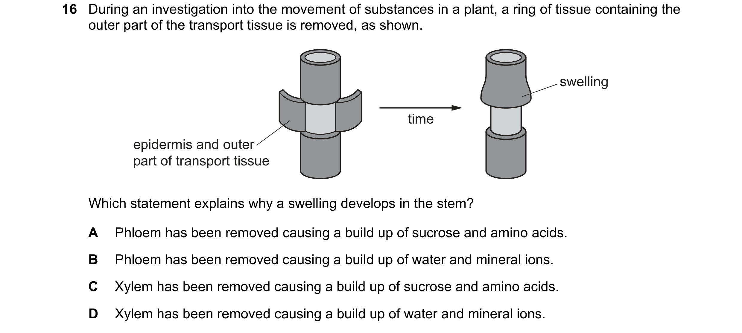 Question 12: During an investigation into the movement of substances in a plant, a ring of tissue containing the outer part of the transport tissue is r…