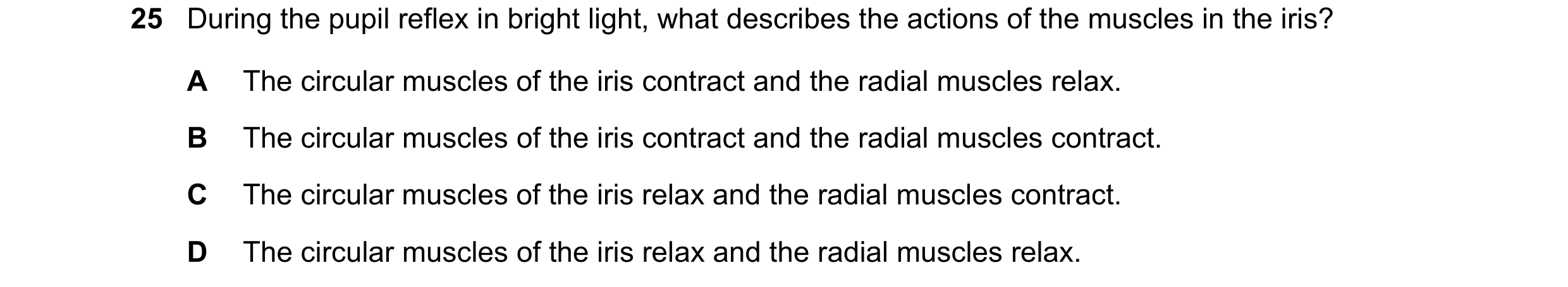 Question 20: During the pupil reflex in bright light, what describes the actions of the muscles in the iris? A The circular muscles of the iris contract…