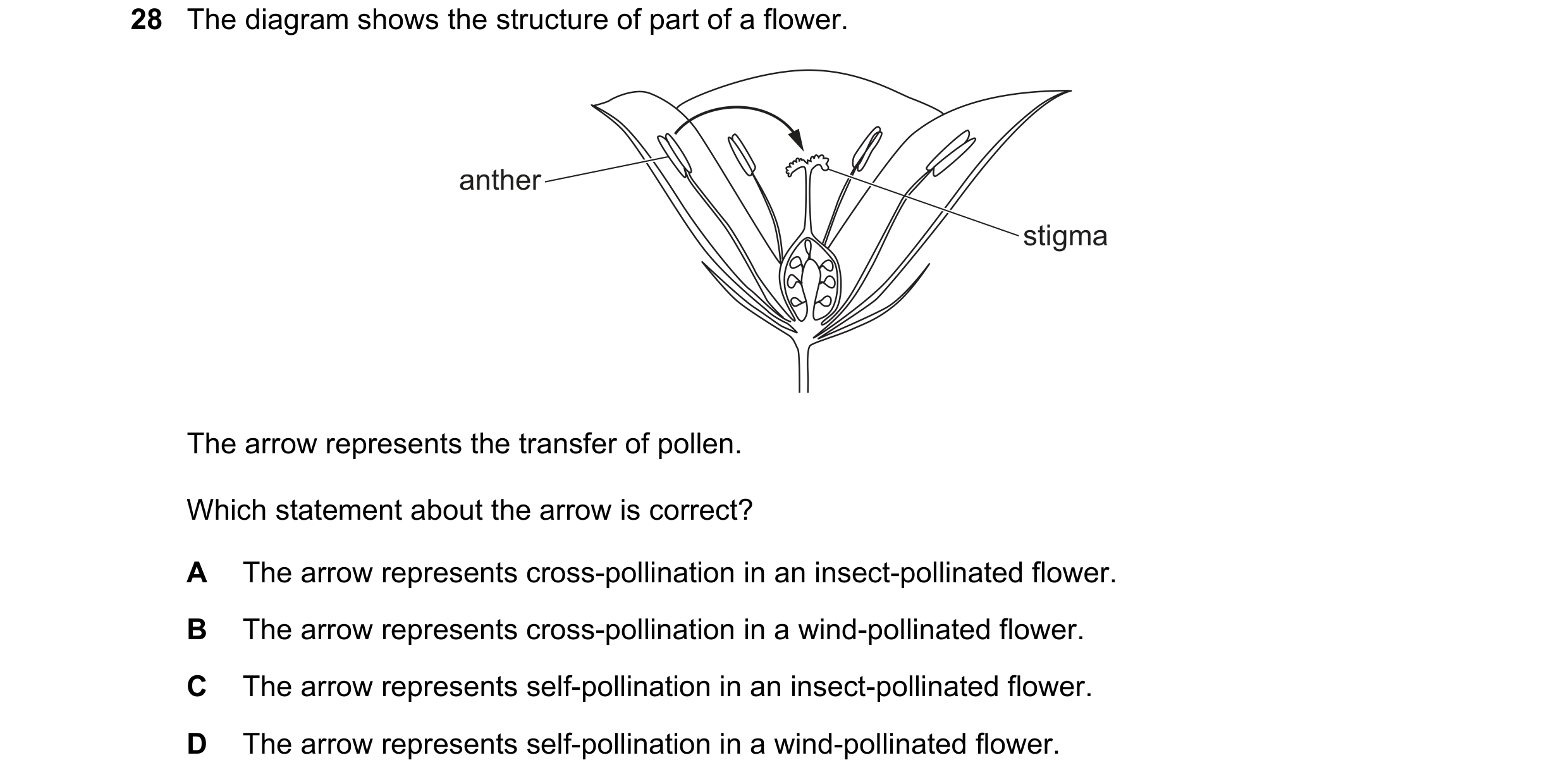 Question 8: The diagram shows the structure of part of a flower. anther stigma The arrow represents the transfer of pollen. Which statement about the a…