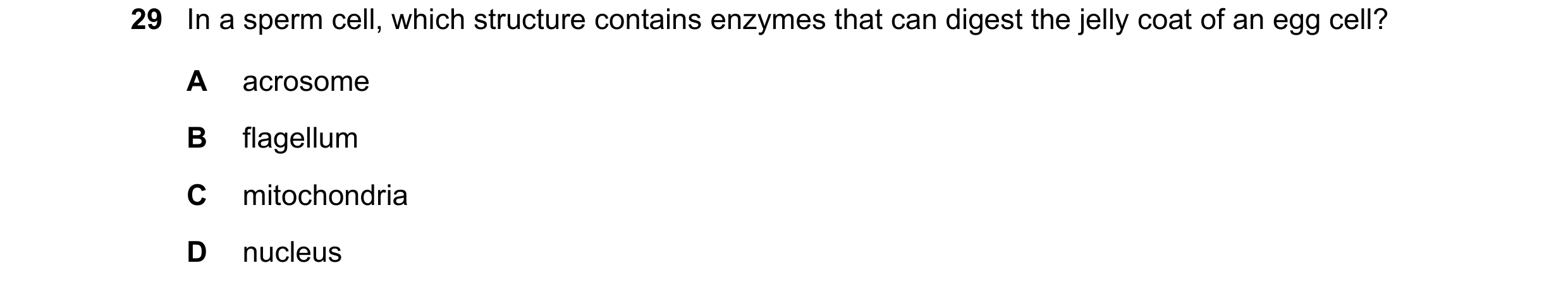 Question 16: In a sperm cell, which structure contains enzymes that can digest the jelly coat of an egg cell? A acrosome B flagellum C mitochondria D nu…
