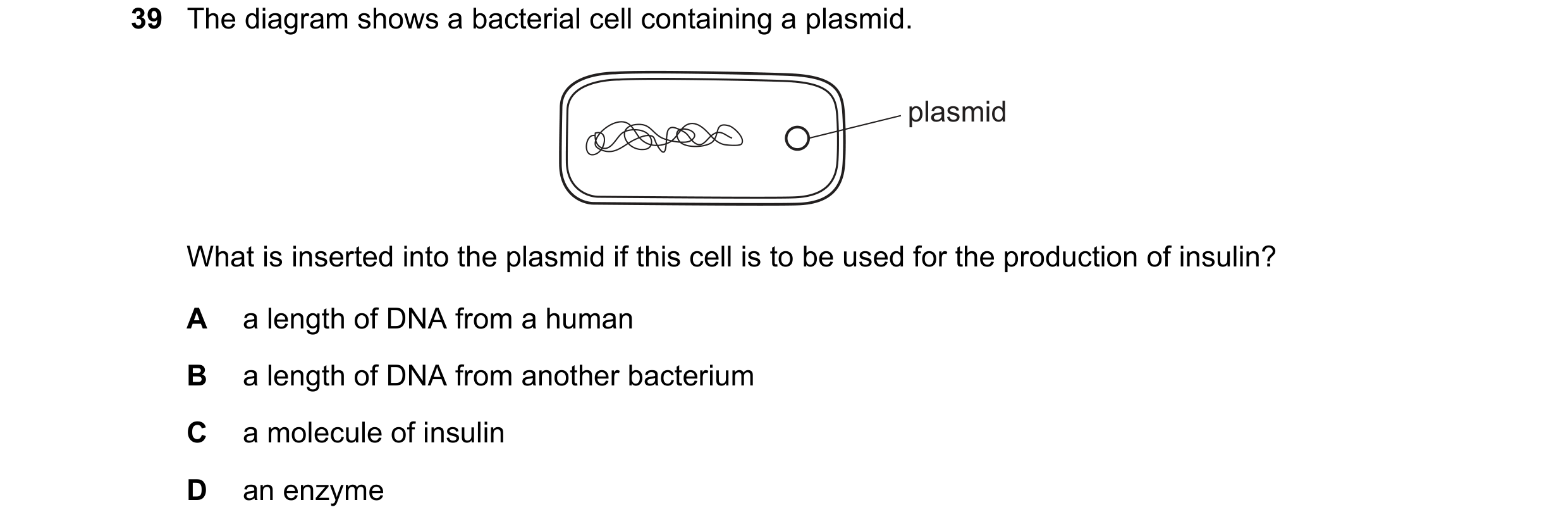 Question 17: The diagram shows a bacterial cell containing a plasmid. plasmid What is inserted into the plasmid if this cell is to be used for the produ…