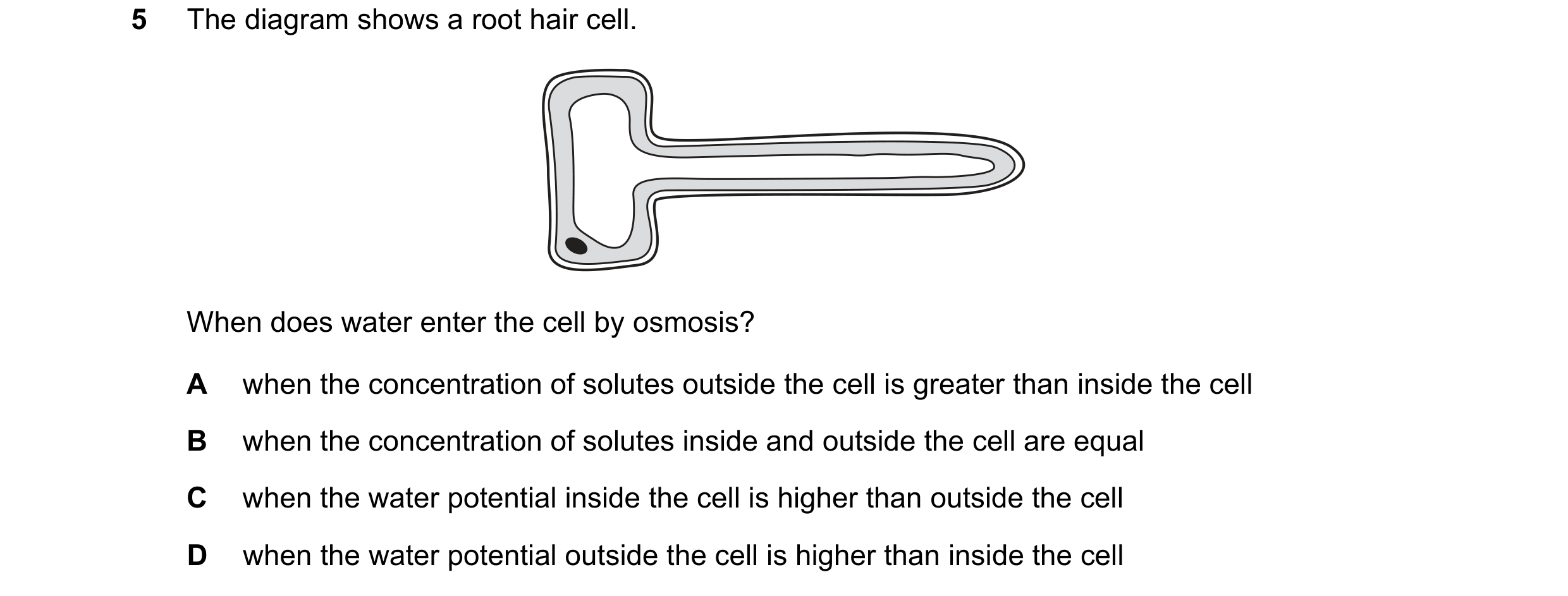 Question 22: The diagram shows a root hair cell. When does water enter the cell by osmosis? A when the concentration of solutes outside the cell is grea…