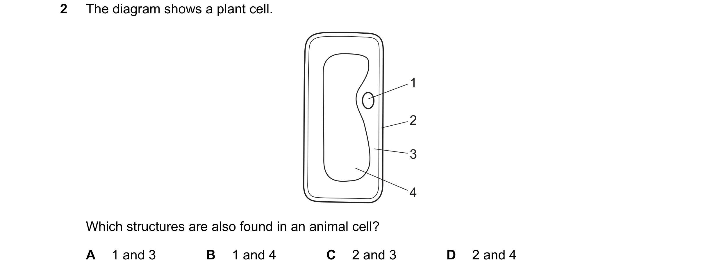 Question 25: The diagram shows a plant cell. 1 2 3 4 Which structures are also found in an animal cell? A 1 and 3 B 1 and 4 C 2 and 3 D 2 and 4
