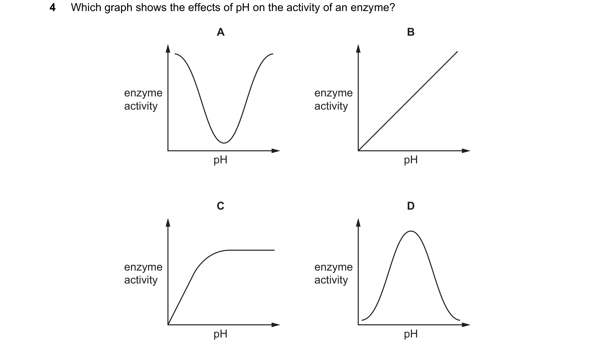 Question 26: Which graph shows the effects of pH on the activity of an enzyme? A B enzyme enzyme activity activity pH pH C D enzyme enzyme activity acti…