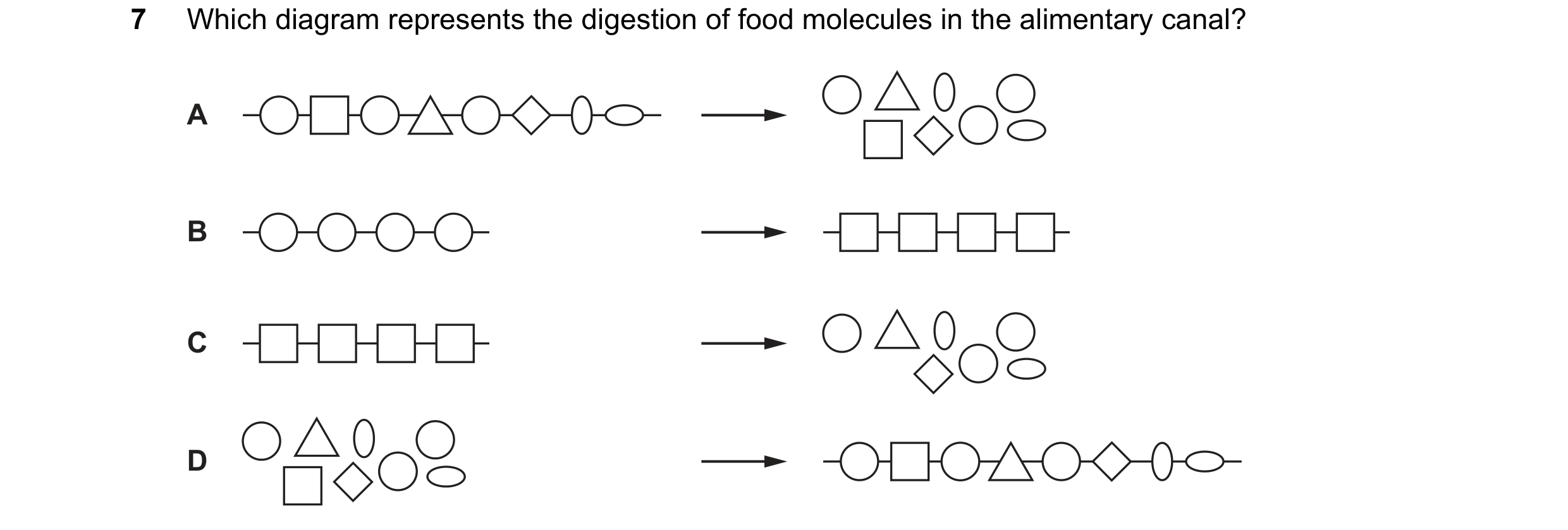 Question 15: Which diagram represents the digestion of food molecules in the alimentary canal? A B C D